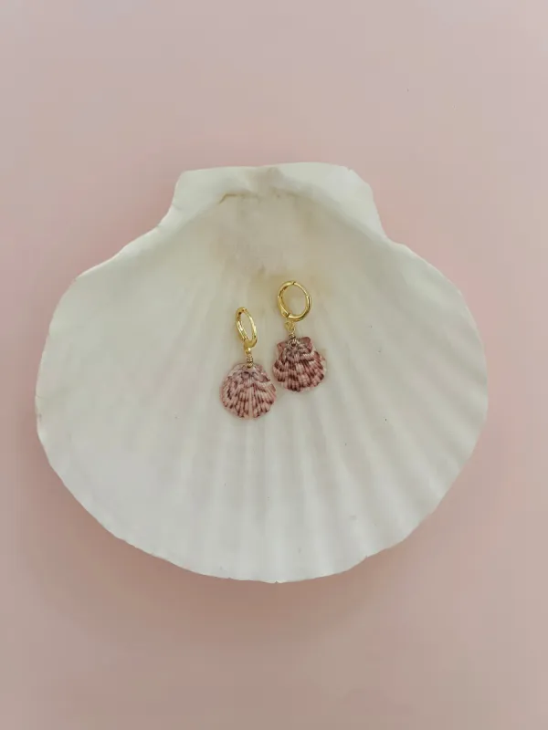 Small Real Scallop Seashell Earrings sold by Mermaid & Me