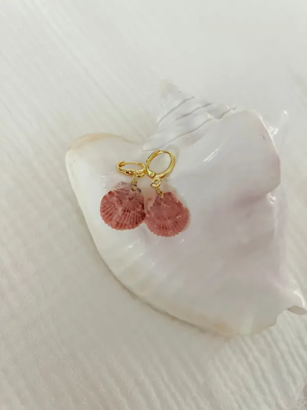 Real Calico Scallop Seashell Huggie Hoop Earrings one of a kind sold by Mermaid & Me