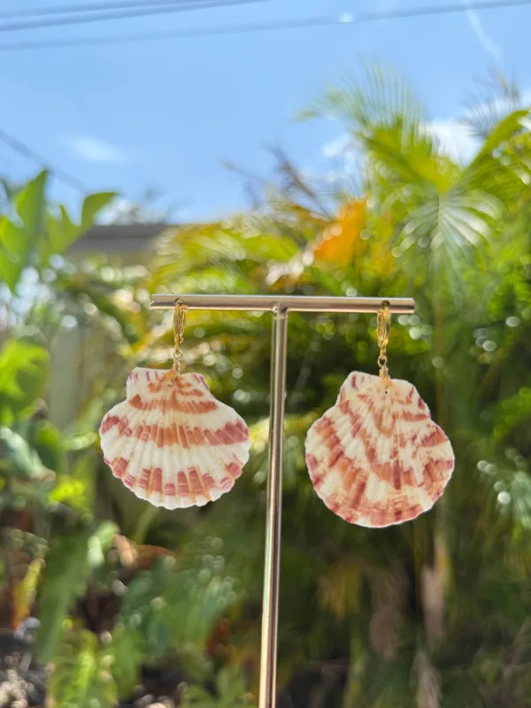Coral Scallop Shell Earrings sold by Mermaid & Me