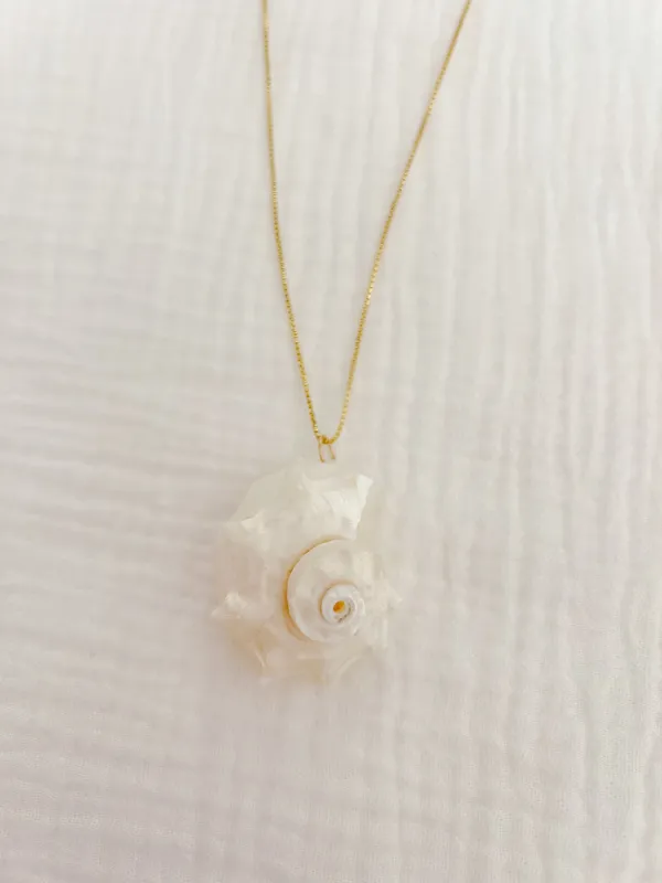 Delphinula Shell Necklace sold by Mermaid & Me