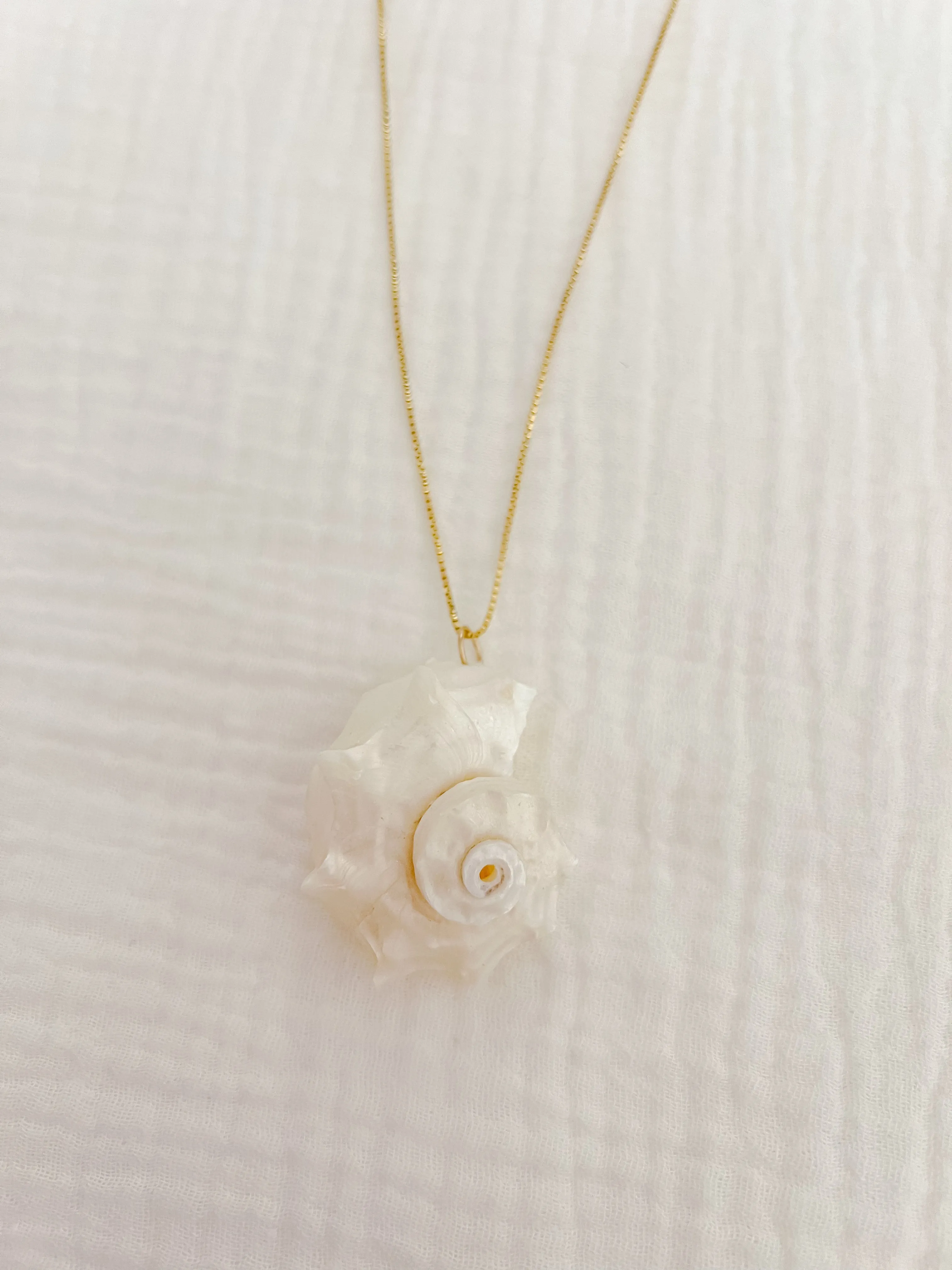 Delphinula Shell Necklace sold by Mermaid & Me