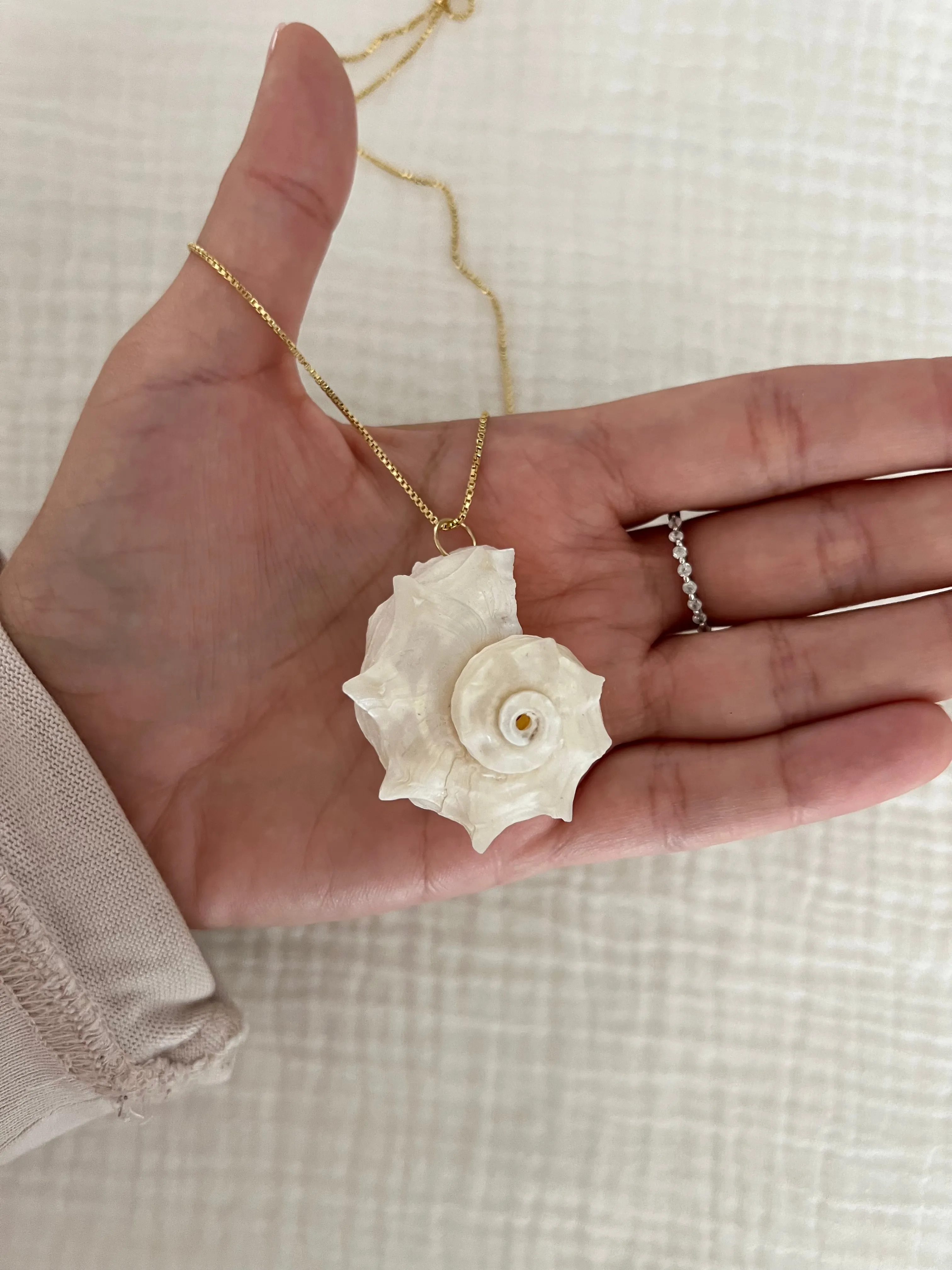 Delphinula Shell Necklace sold by Mermaid & Me product image thumbnail 2