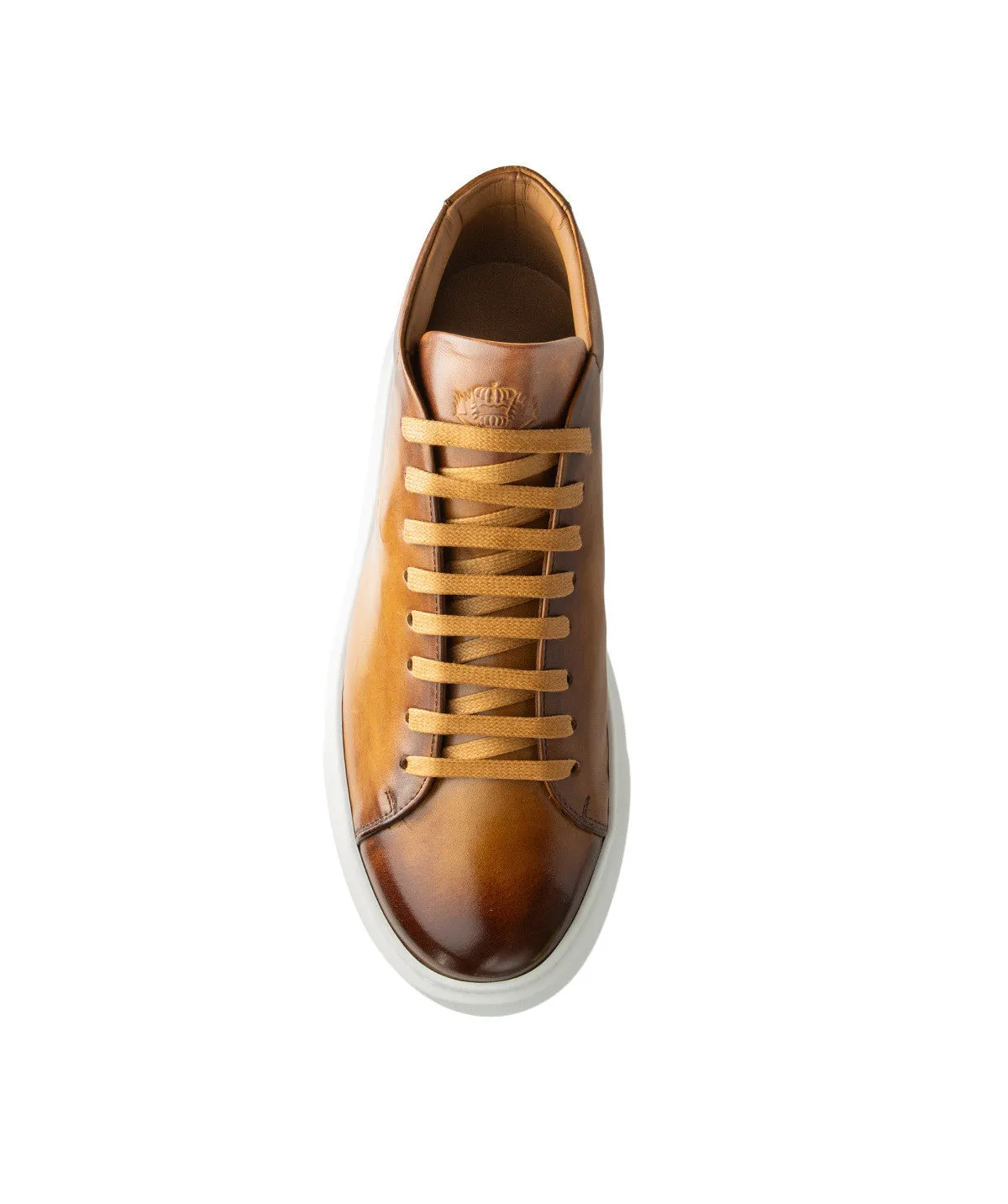 Sneakers Montante MODENA Gold sold by Finsbury product image thumbnail 4