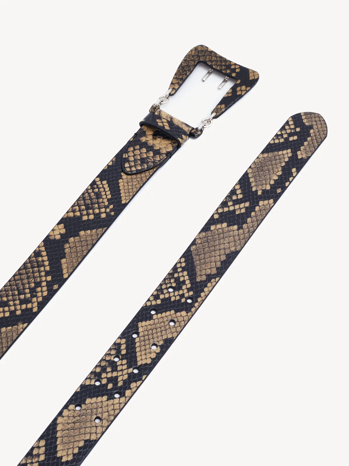 Hydra Belt Snake Biscuit sold by KNWLS product image thumbnail 3