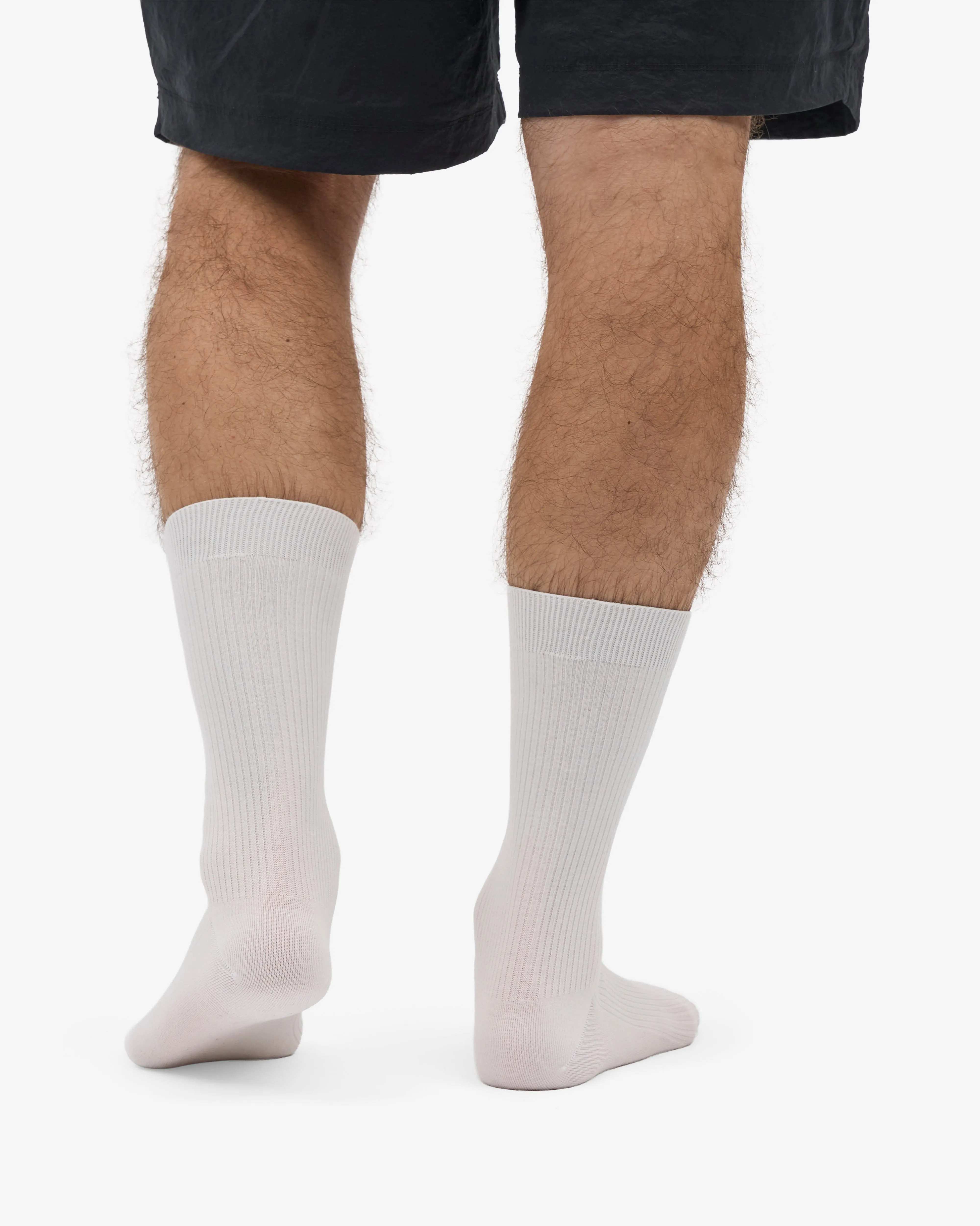 Classic Organic Sock - Optical White (3-Pack) sold by Colorful Standard product image thumbnail 3