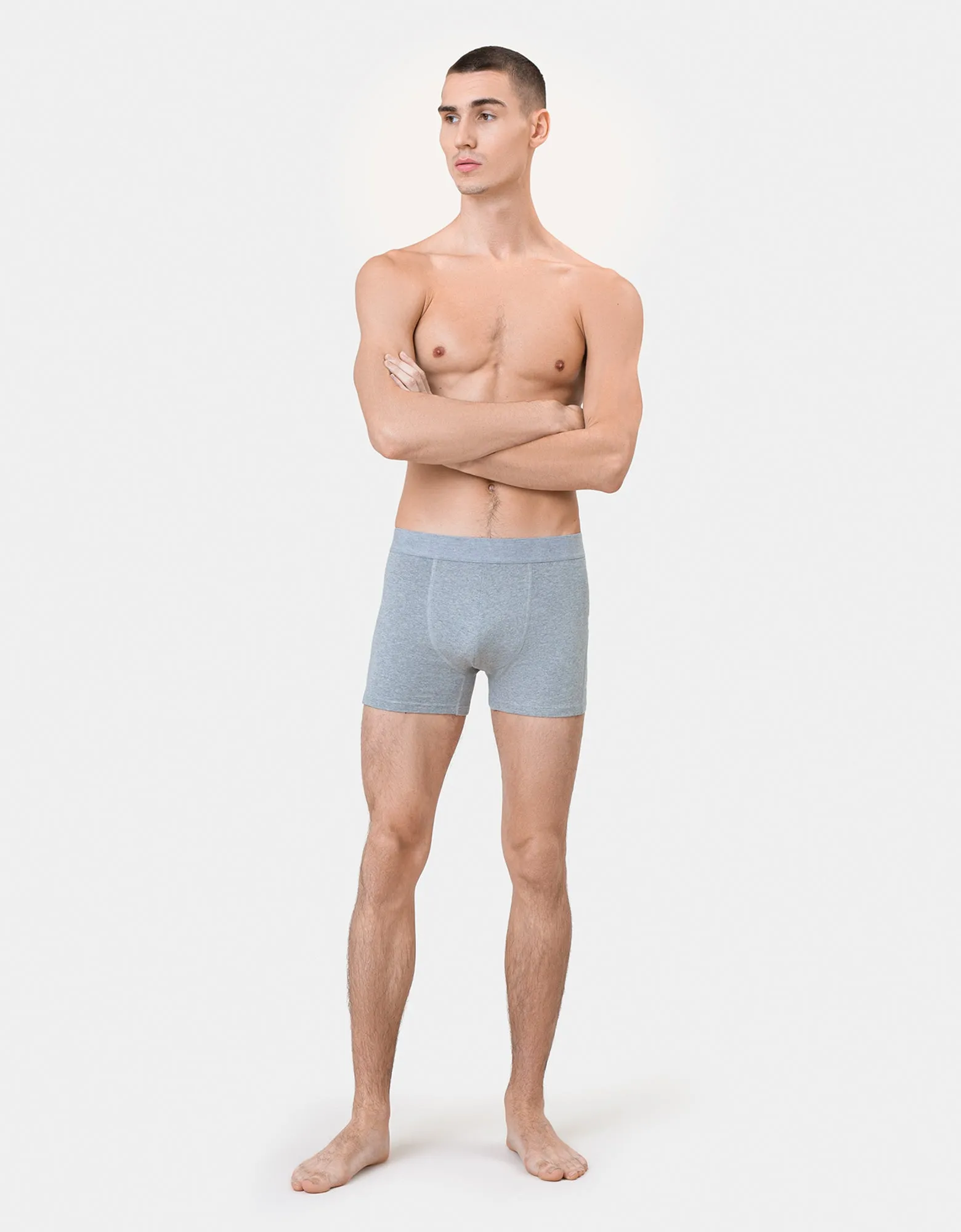 Organic Boxer Briefs 3 Pack - Heather Grey sold by Colorful Standard product image thumbnail 3