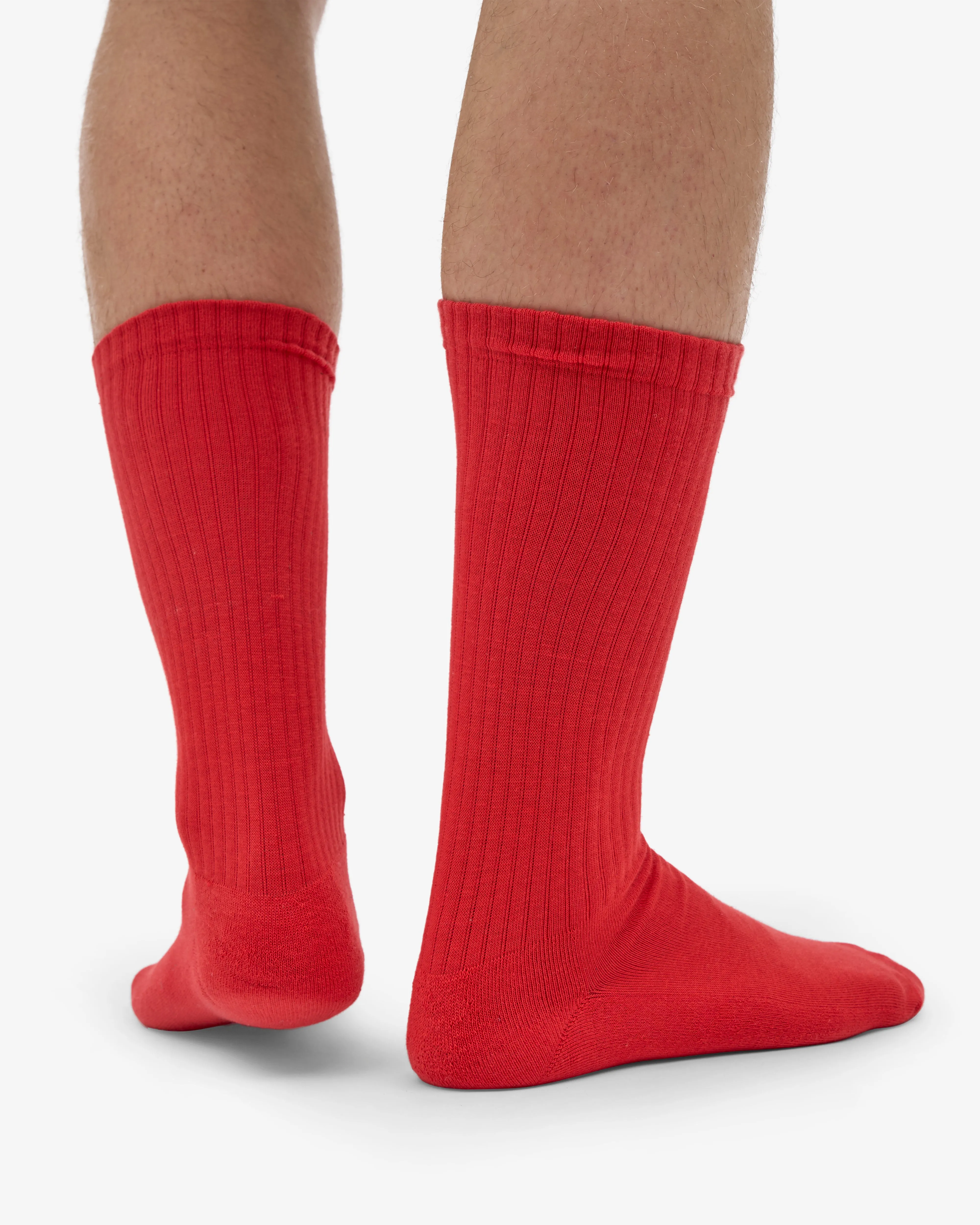 Organic Active Sock - Red Tangerine (3-Pack) sold by Colorful Standard product image thumbnail 3