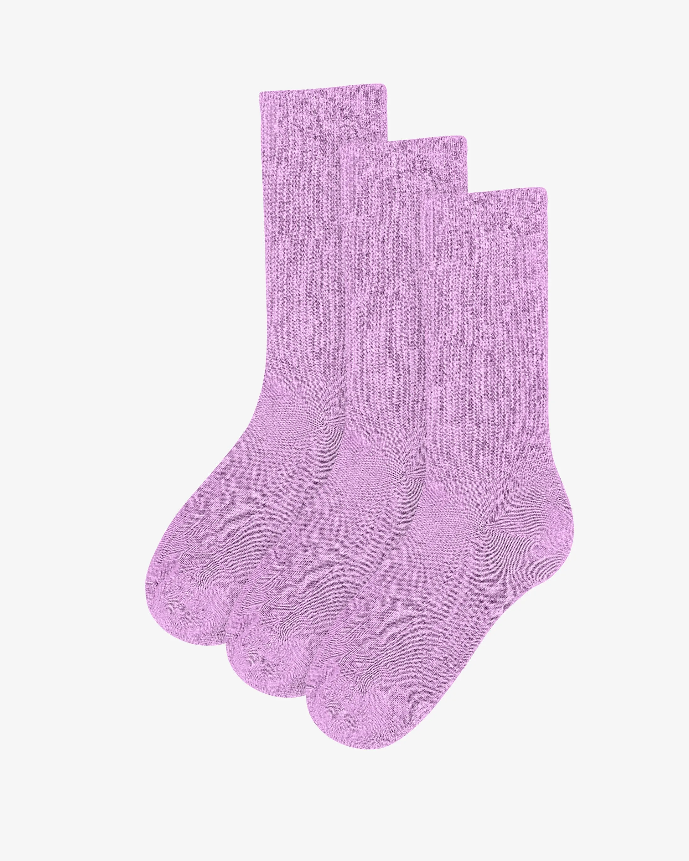 Organic Active Sock - Cherry Blossom (3-Pack) sold by Colorful Standard