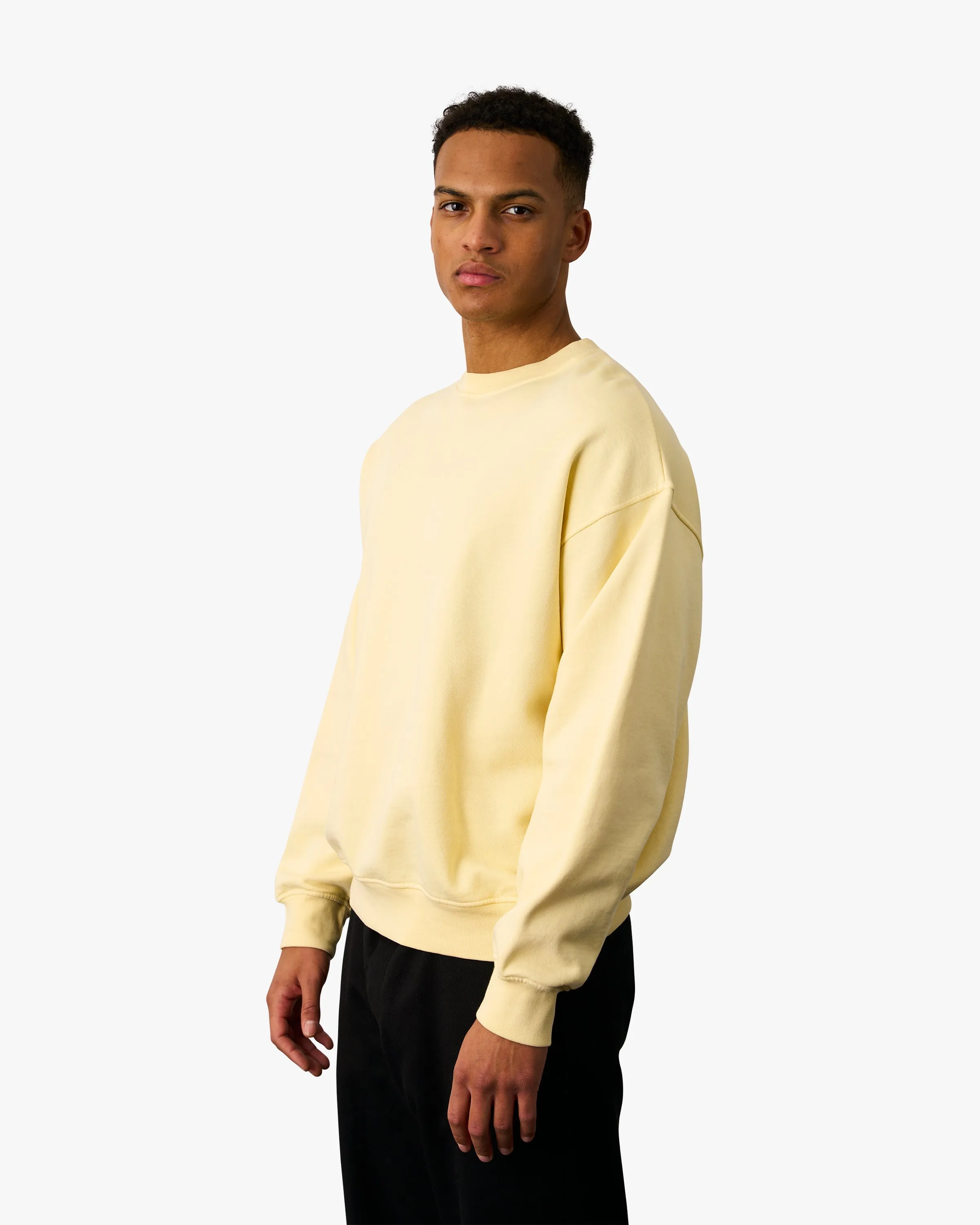 Organic Oversized Crew - Misty Brown sold by Colorful Standard product image thumbnail 3