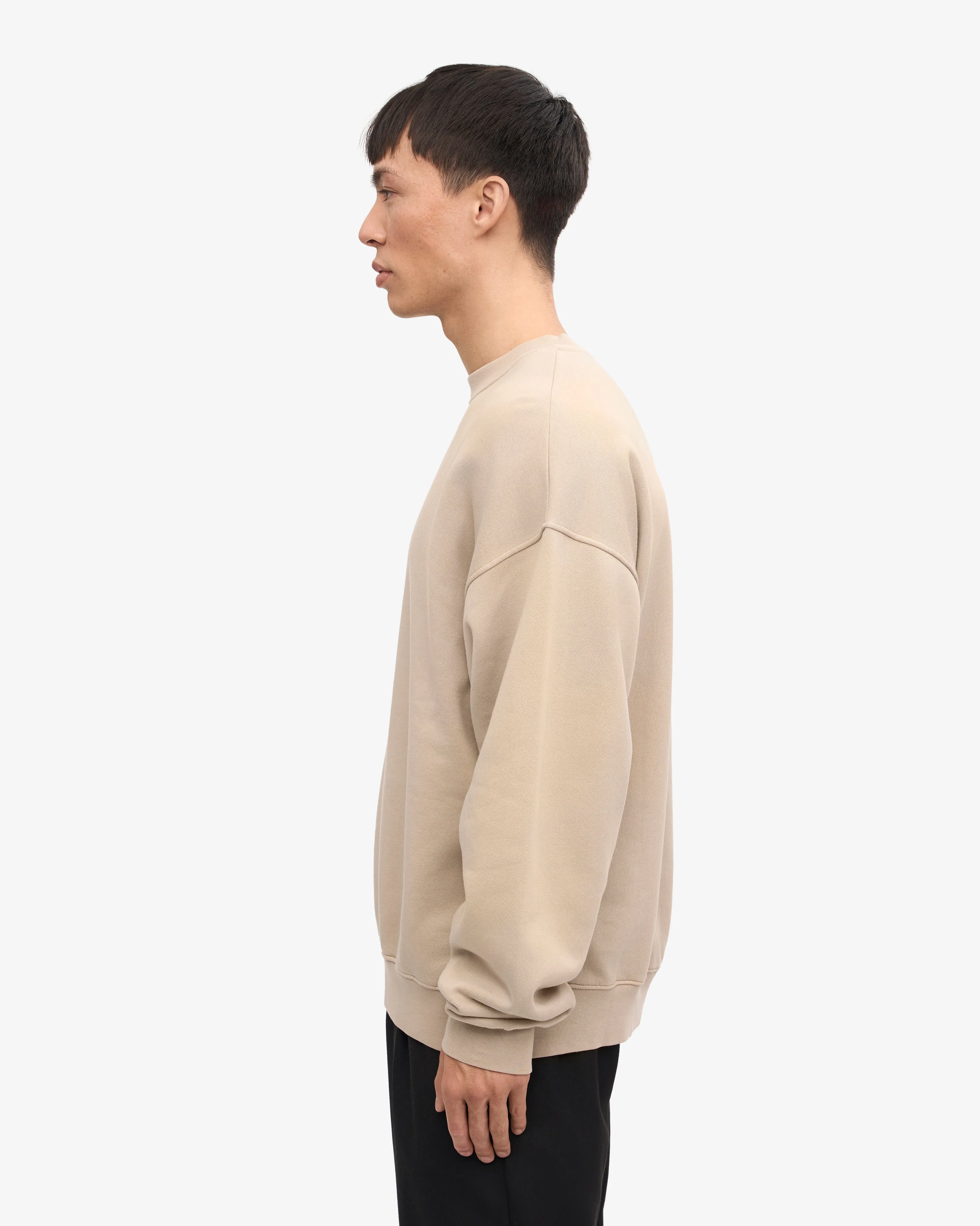 Organic Oversized Crew - Oyster Grey sold by Colorful Standard product image thumbnail 3