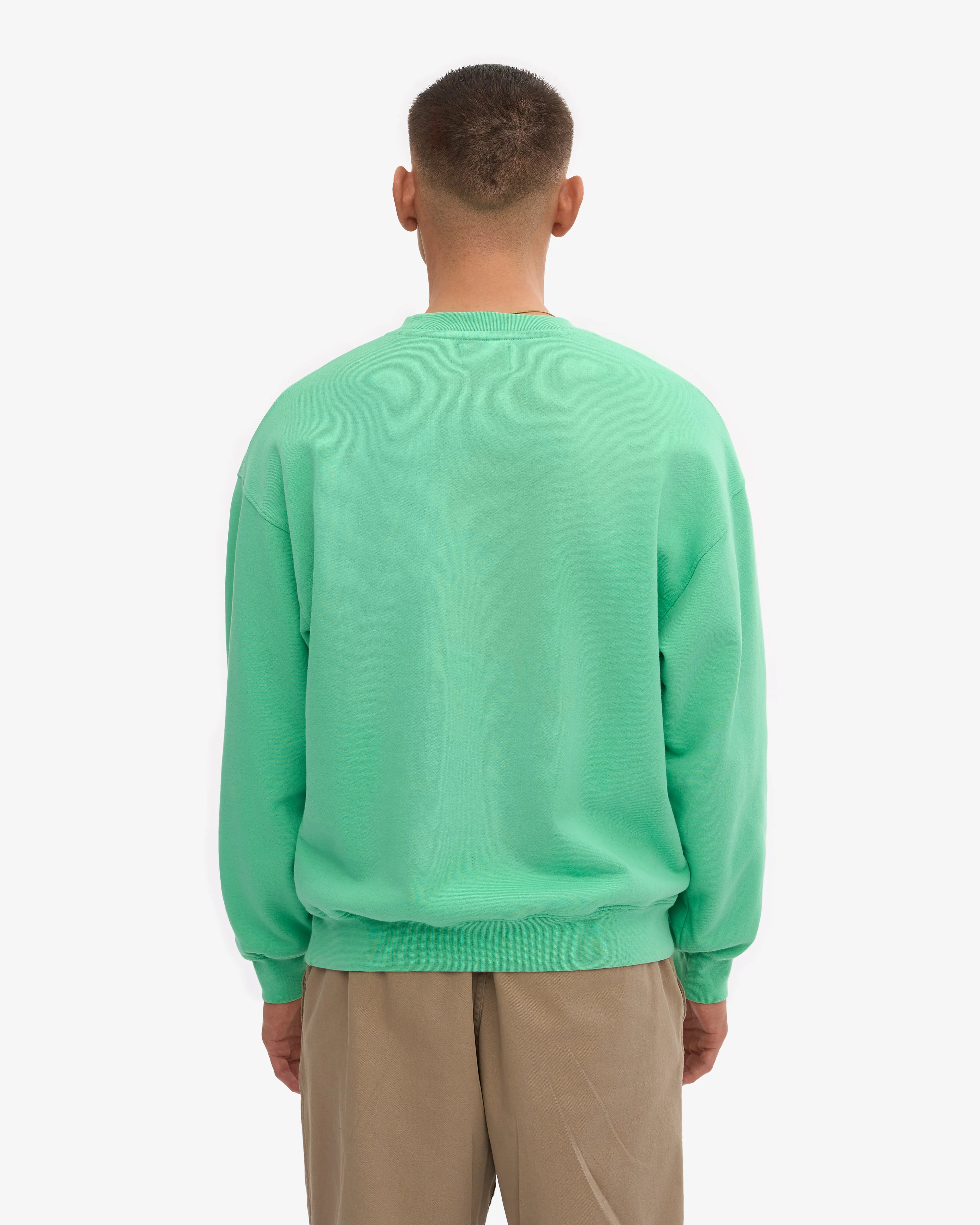 Organic Oversized Crew - Spring Green sold by Colorful Standard product image thumbnail 4