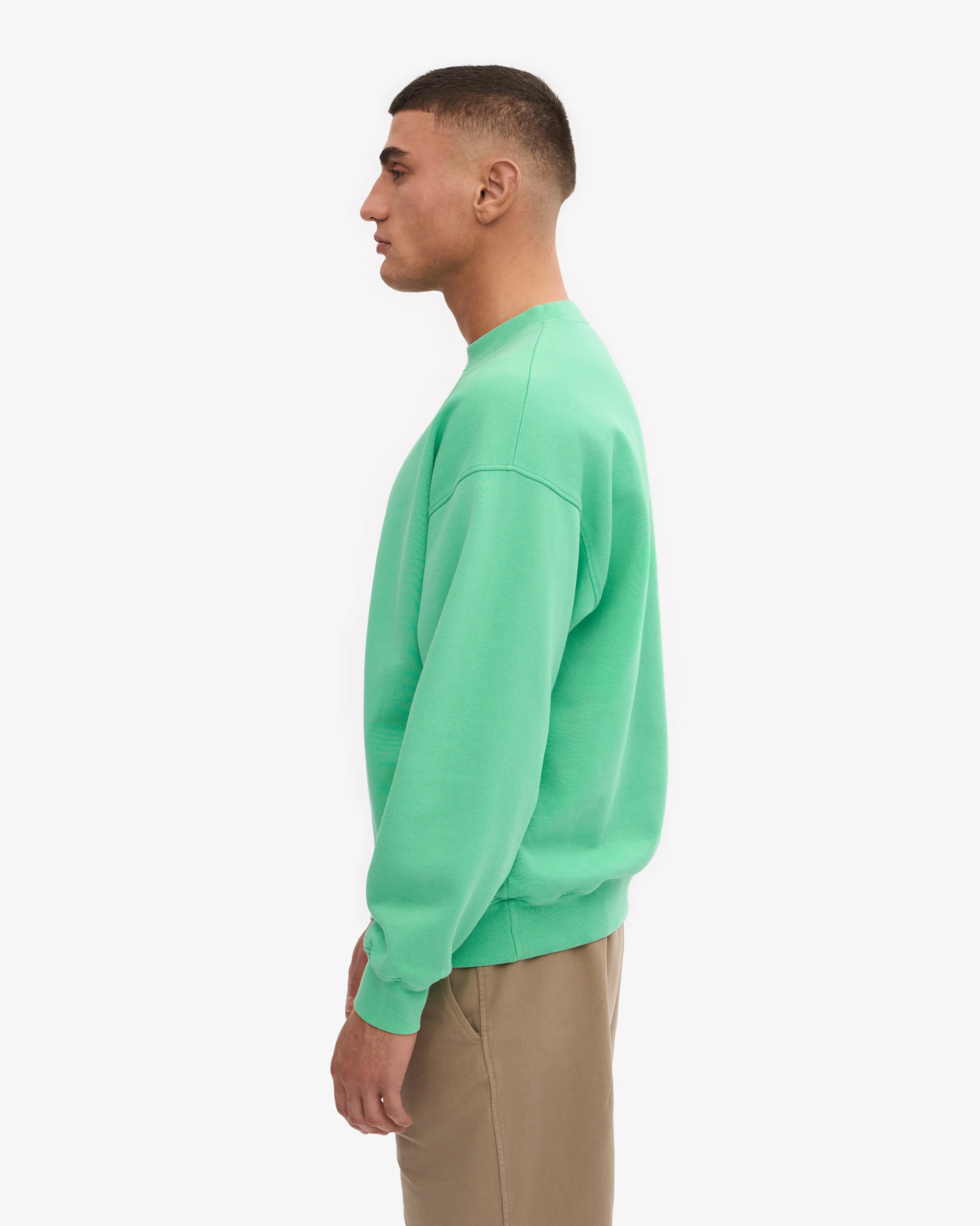 Organic Oversized Crew - Spring Green sold by Colorful Standard product image thumbnail 3
