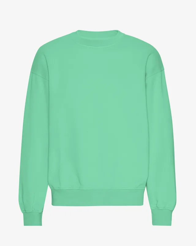 Organic Oversized Crew - Spring Green sold by Colorful Standard