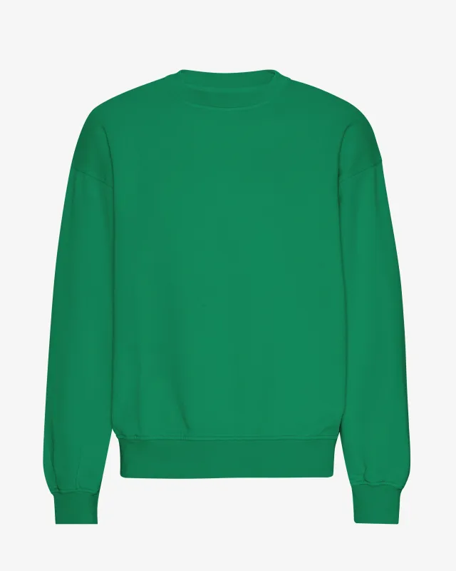 Organic Oversized Crew - Kelly Green sold by Colorful Standard