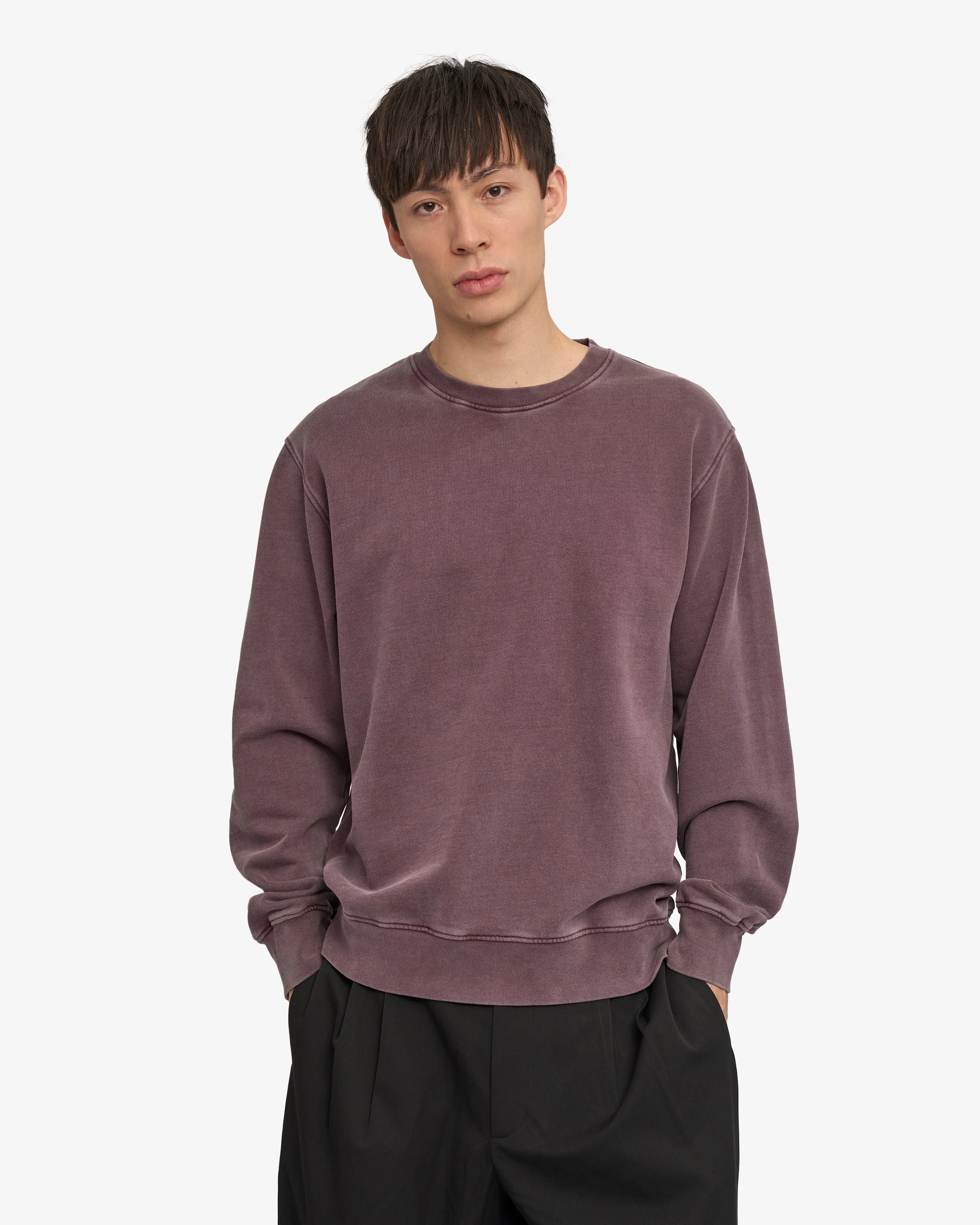 Organic Oversized Crew - Faded Grape sold by Colorful Standard product image thumbnail 2