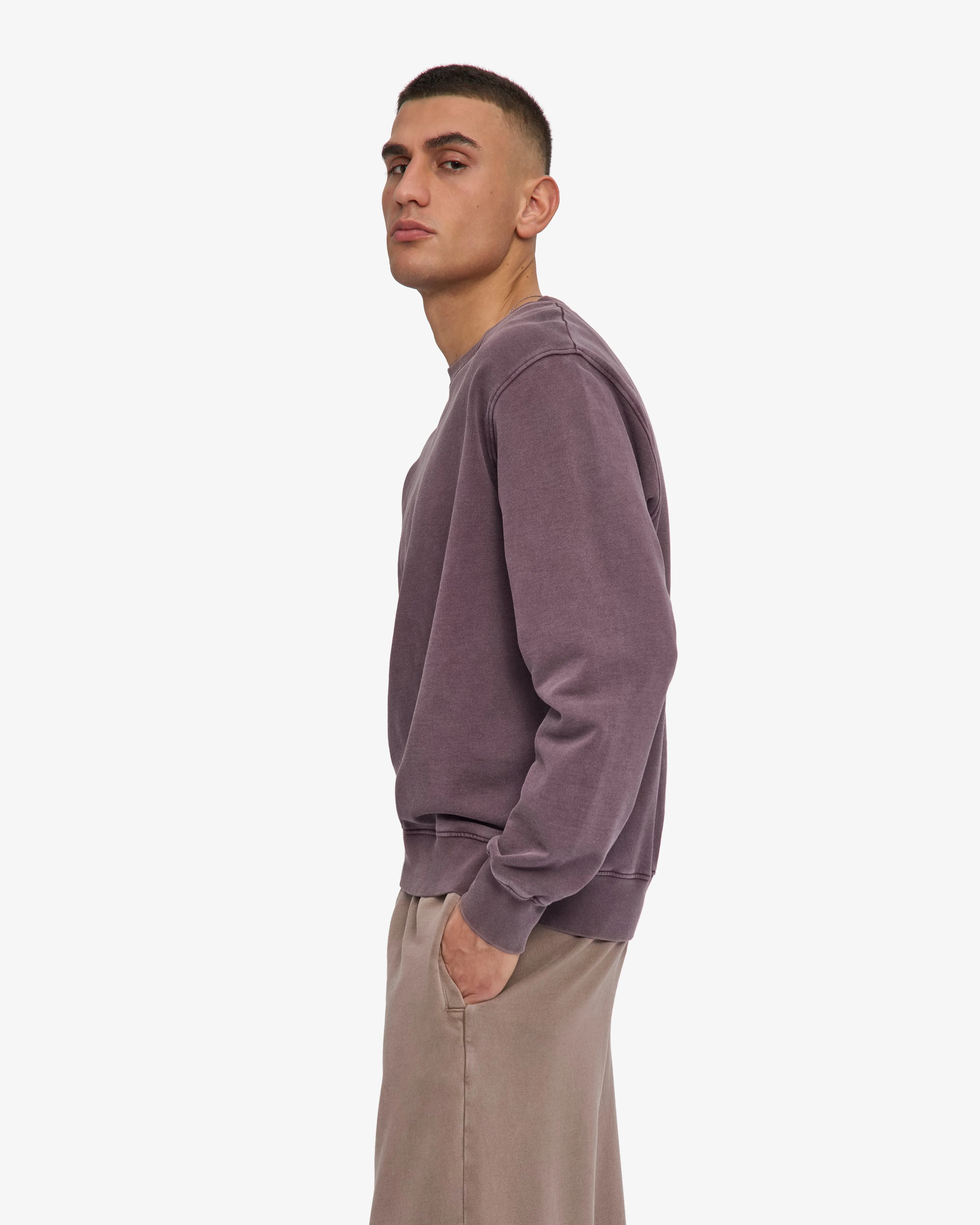 Classic Organic Crew - Faded Grape sold by Colorful Standard product image thumbnail 3