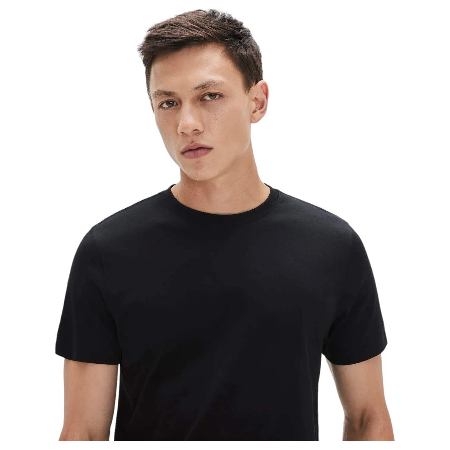 Robert Barakett T Shirt In Black 23336 sold by J&Z Couture product image thumbnail 4