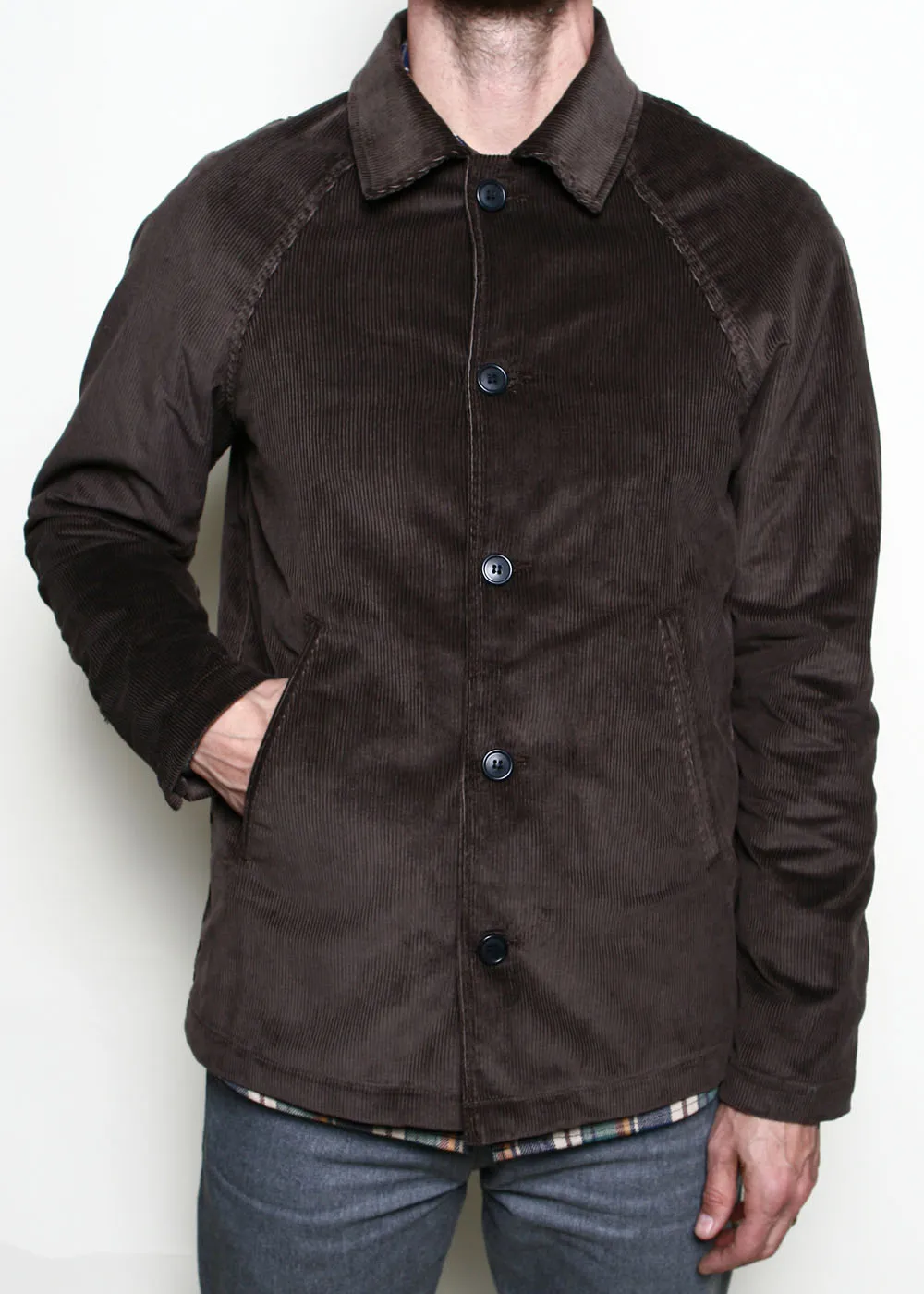 Peacoat // Brown Corduroy sold by Rogue Territory