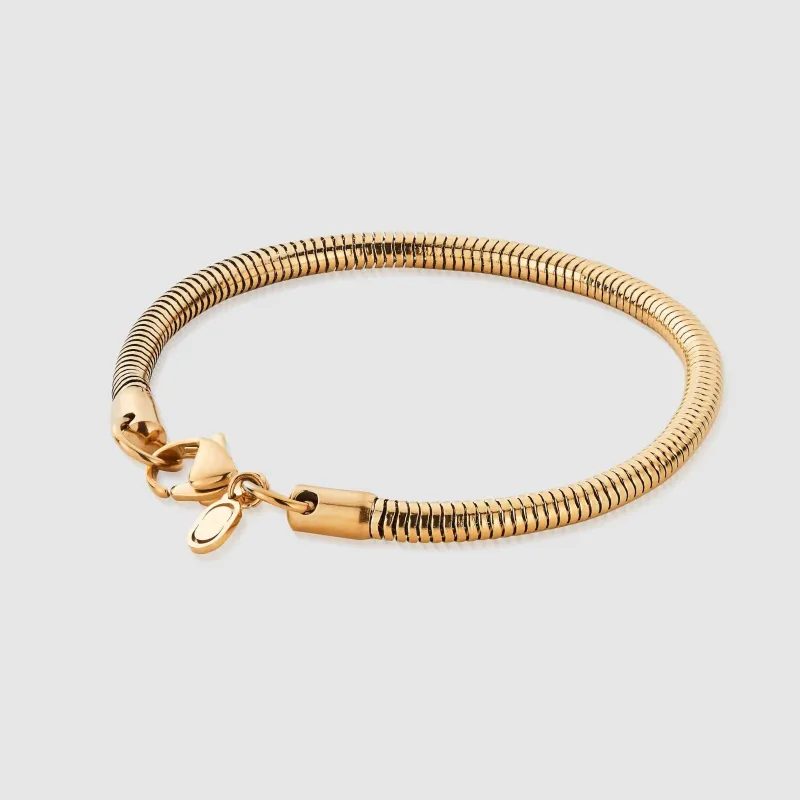 Snake Bracelet (Gold) 4mm made by Craftd London
