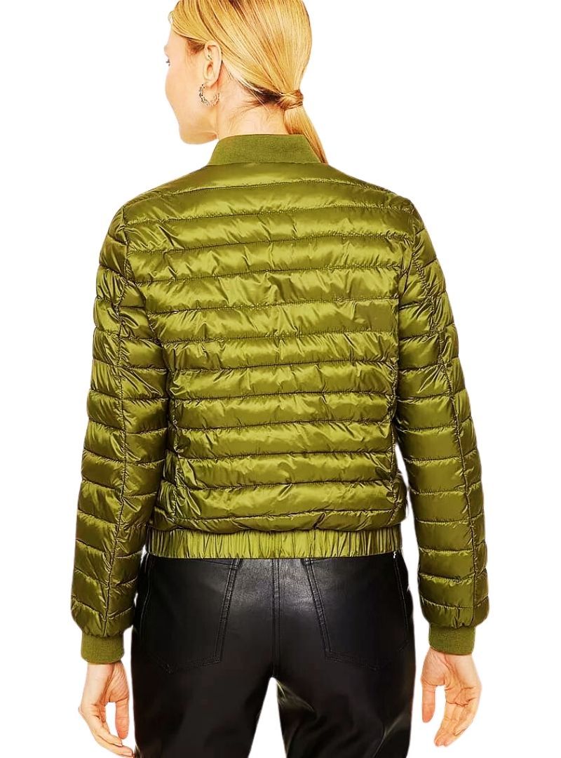 FITTED PADDED JACKET sold by FBO product image thumbnail 3