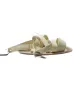 STRAPPY SLING BACK SANDAL sold by FBO
