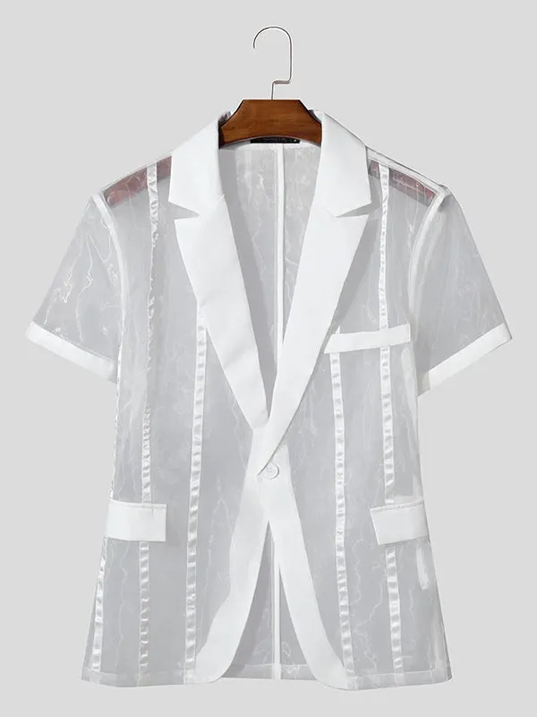 Mens Sheer Striped Short Sleeve Blazer SKUL03124 sold by Incerunmen product image thumbnail 4