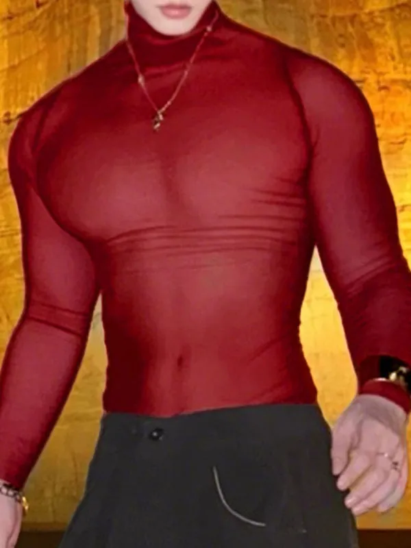 Men's Sheer Mesh High Neck Long Sleeve T-Shirt SKUL38059 sold by Incerunmen product image thumbnail 3