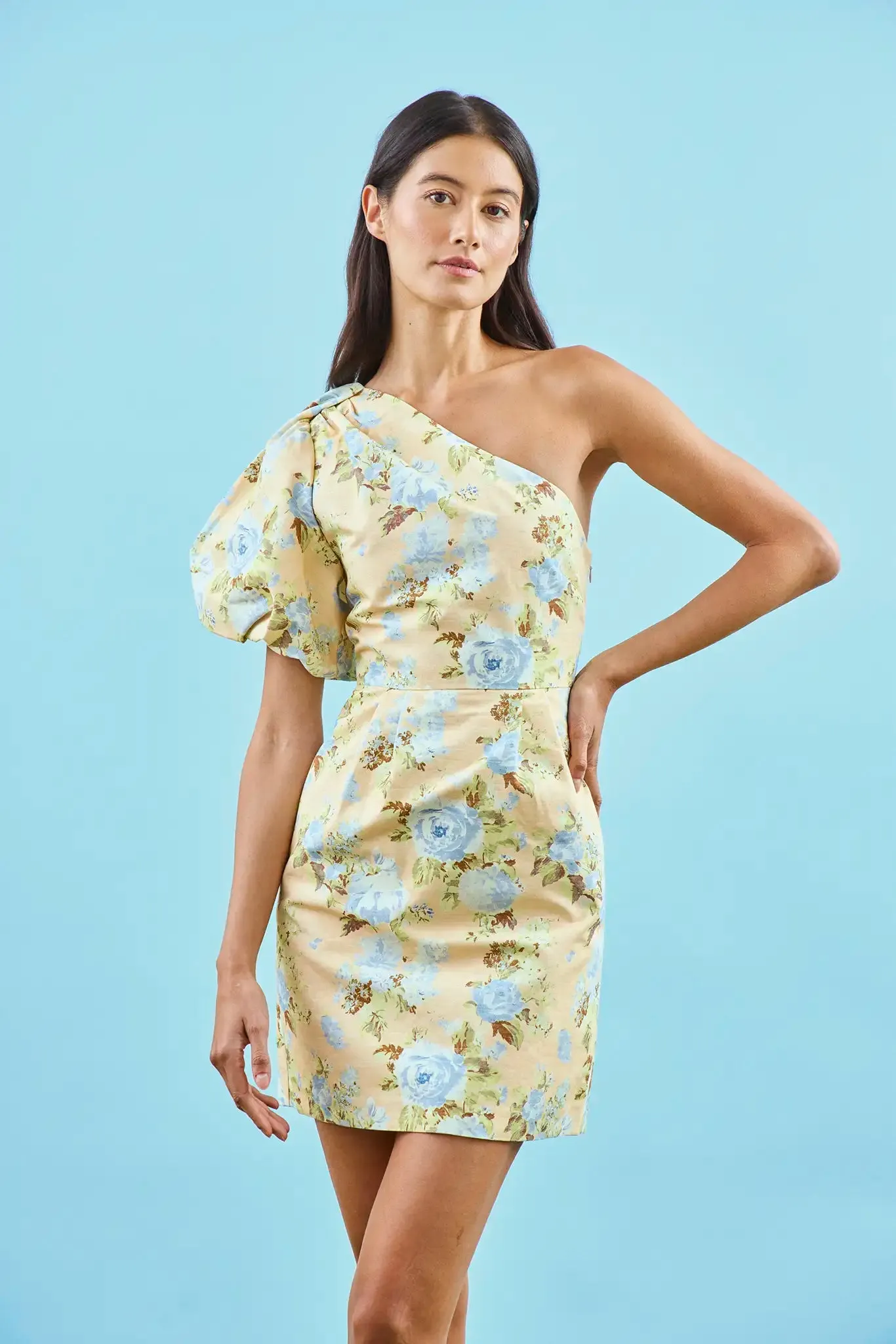 Chloe Dress sold by Hunter Bell NYC product image thumbnail 4