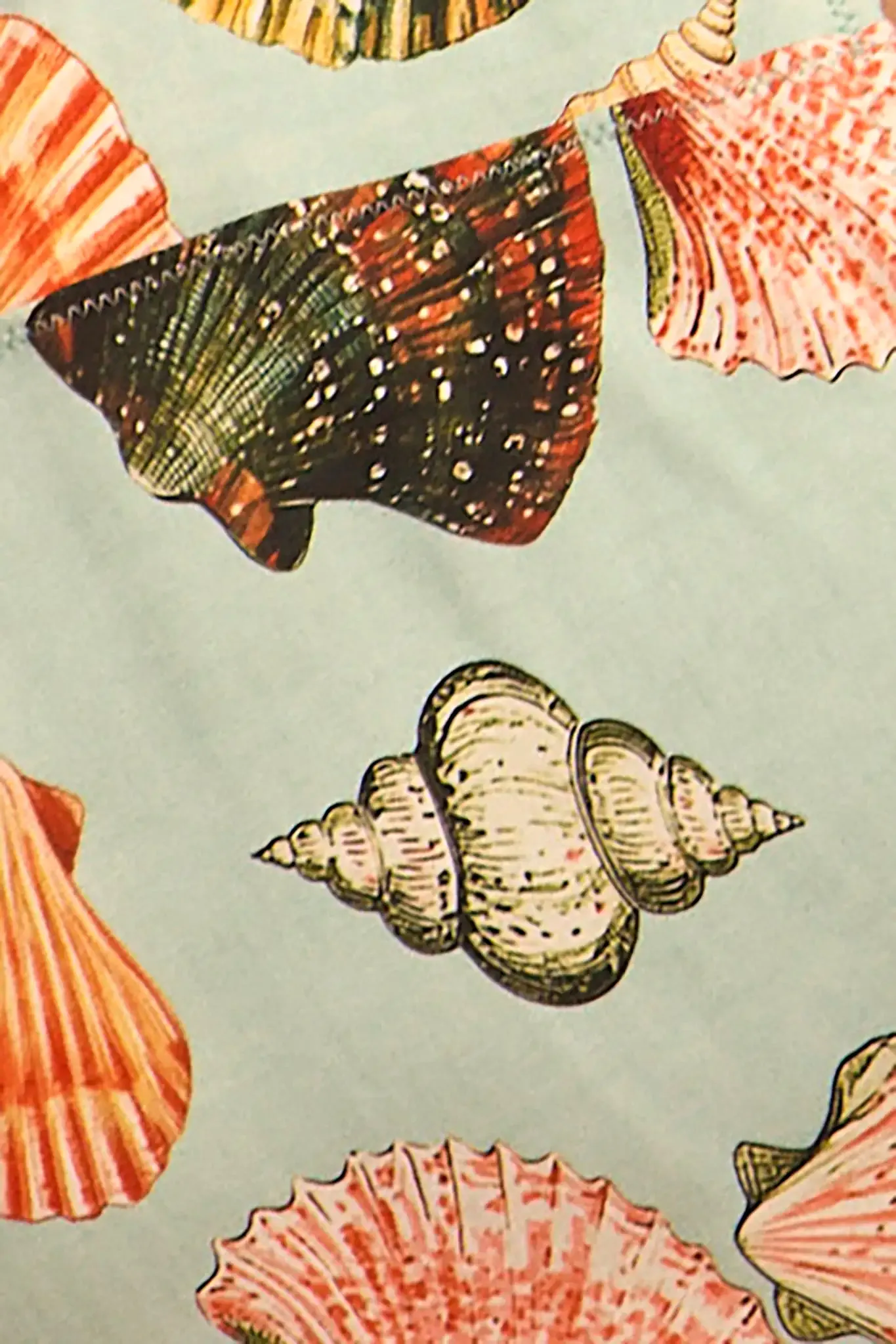 Bermuda Bikini Bottom sold by Hunter Bell NYC product image thumbnail 5