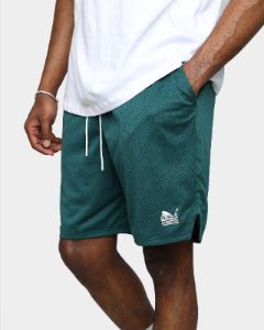 Puma X TMC Every Day Hussle Mesh Shorts June Bug sold by Culture Kings