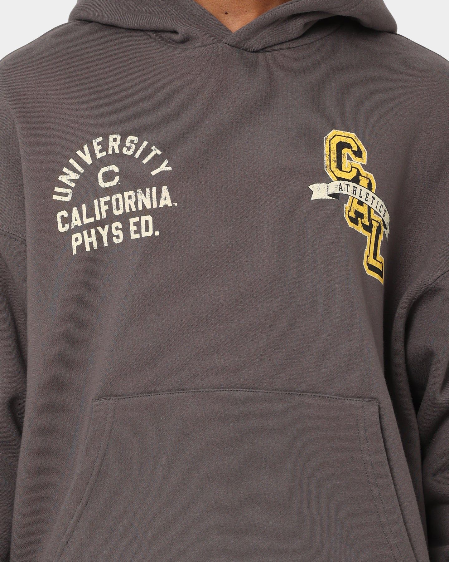 The New Establishment College Captain Berkeley Hoodie Vintage Charcoal sold by Culture Kings product image thumbnail 3