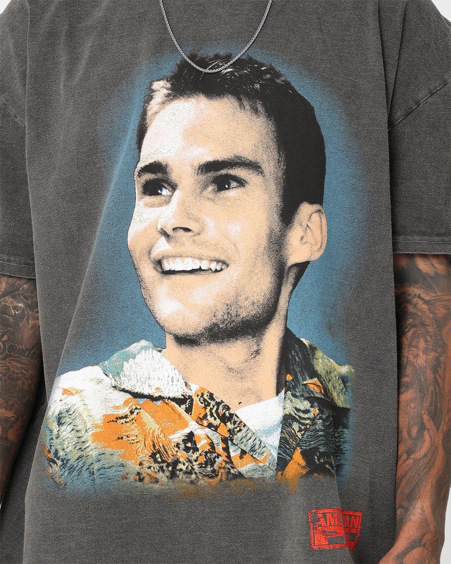 American Thrift X American Pie Stiffler T-Shirt Black Wash sold by Culture Kings product image thumbnail 3