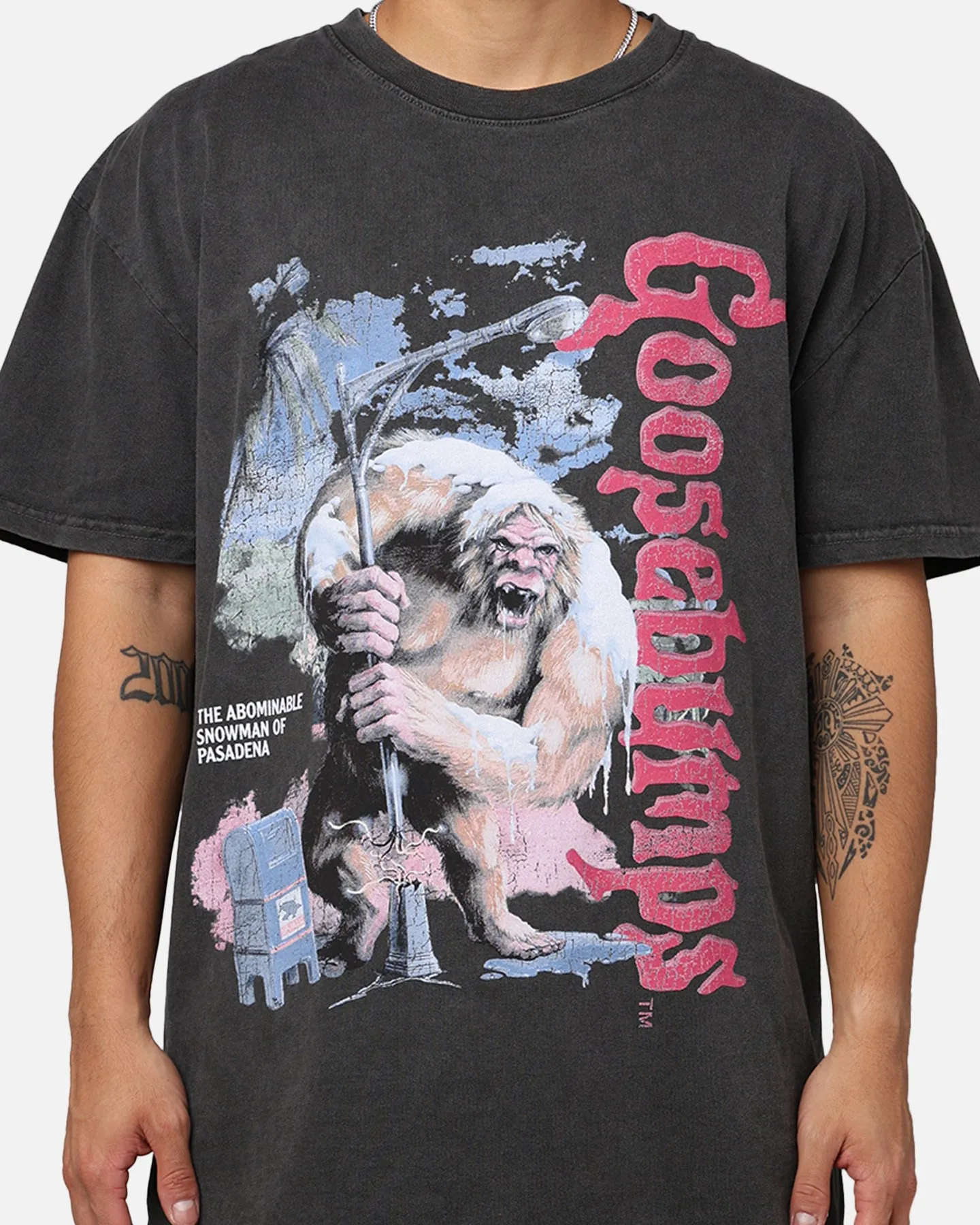 American Thrift X Goosebumps Abominable Snowman Heavyweight T-Shirt Black Wash sold by Culture Kings product image thumbnail 4