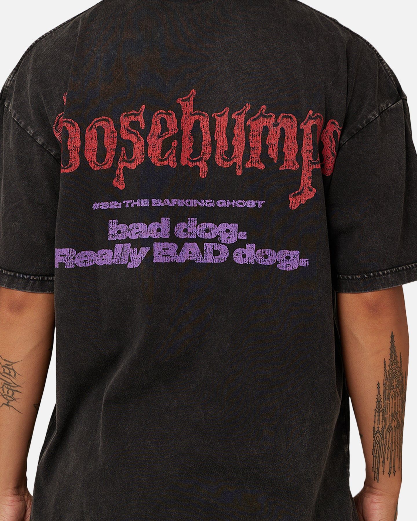American Thrift X Goosebumps Barking Ghost Vintage T-Shirt Black sold by Culture Kings product image thumbnail 5