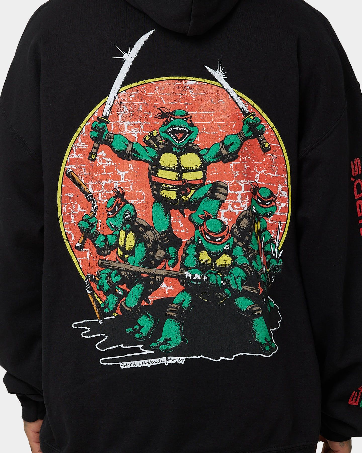 American Thrift X Teenage Mutant Ninja Turtles OG Ninja Turtle Hoodie Black sold by Culture Kings product image thumbnail 5