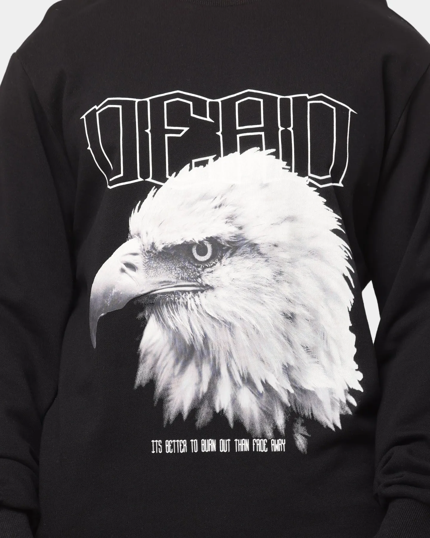 Dead Studios Rise Above Sweater Washed Black sold by Culture Kings product image thumbnail 3