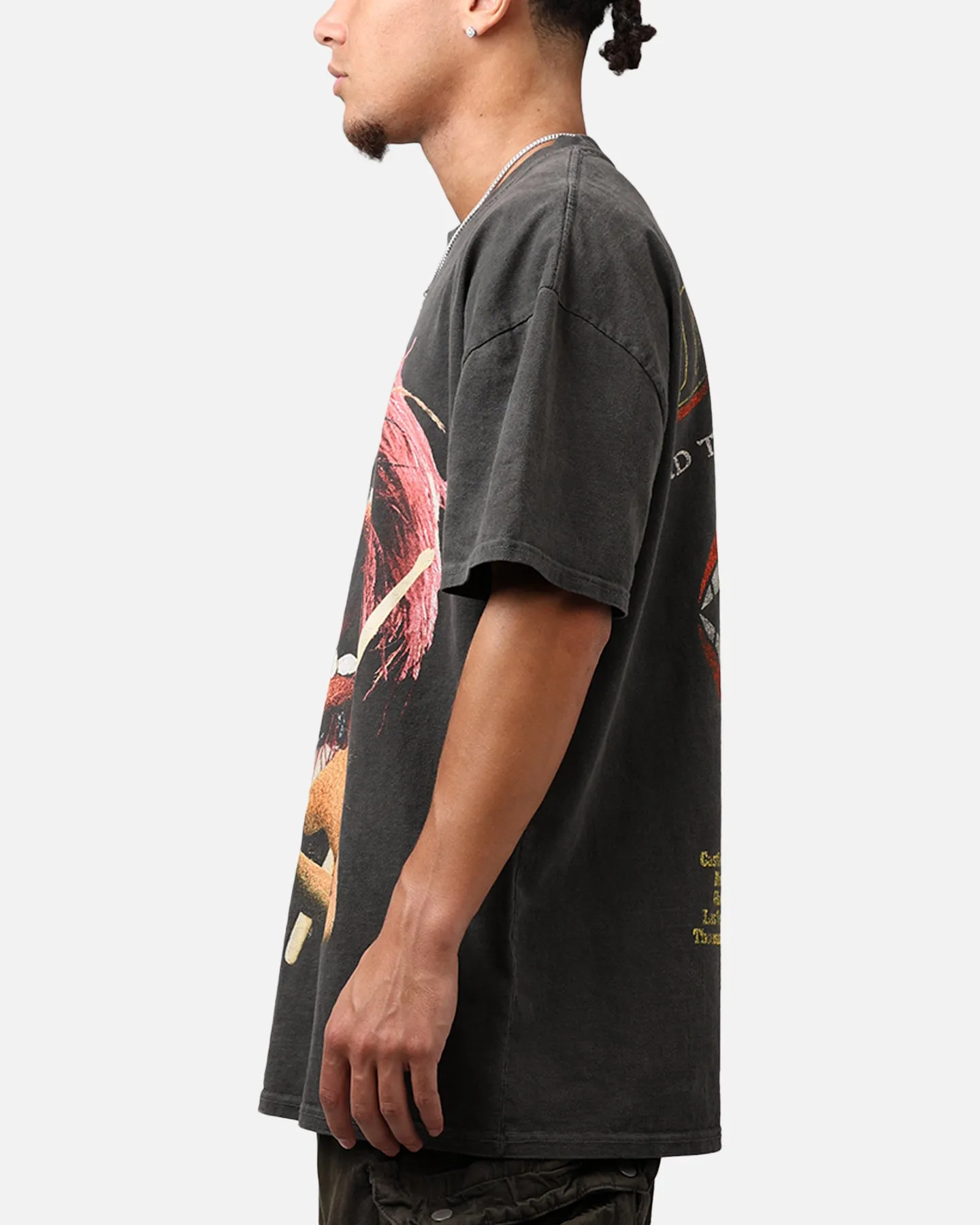 American Thrift Disney The Muppets Animal Heavyweight T-Shirt Black Wash sold by Culture Kings product image thumbnail 5