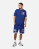 New Era Chicago Cubs 'Logo Select Official Team Colors' Shorts OTC sold by Culture Kings