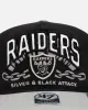 47 Brand Las Vegas Raiders 'NFL Trophy Case' Premium Hitch Snapback Black sold by Culture Kings
