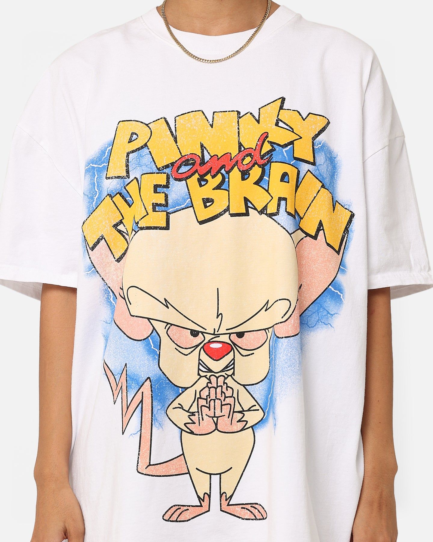 American Thrift X Cartoon Network Pinky & The Brain Heavyweight Vintage T-Shirt White sold by Culture Kings product image thumbnail 3