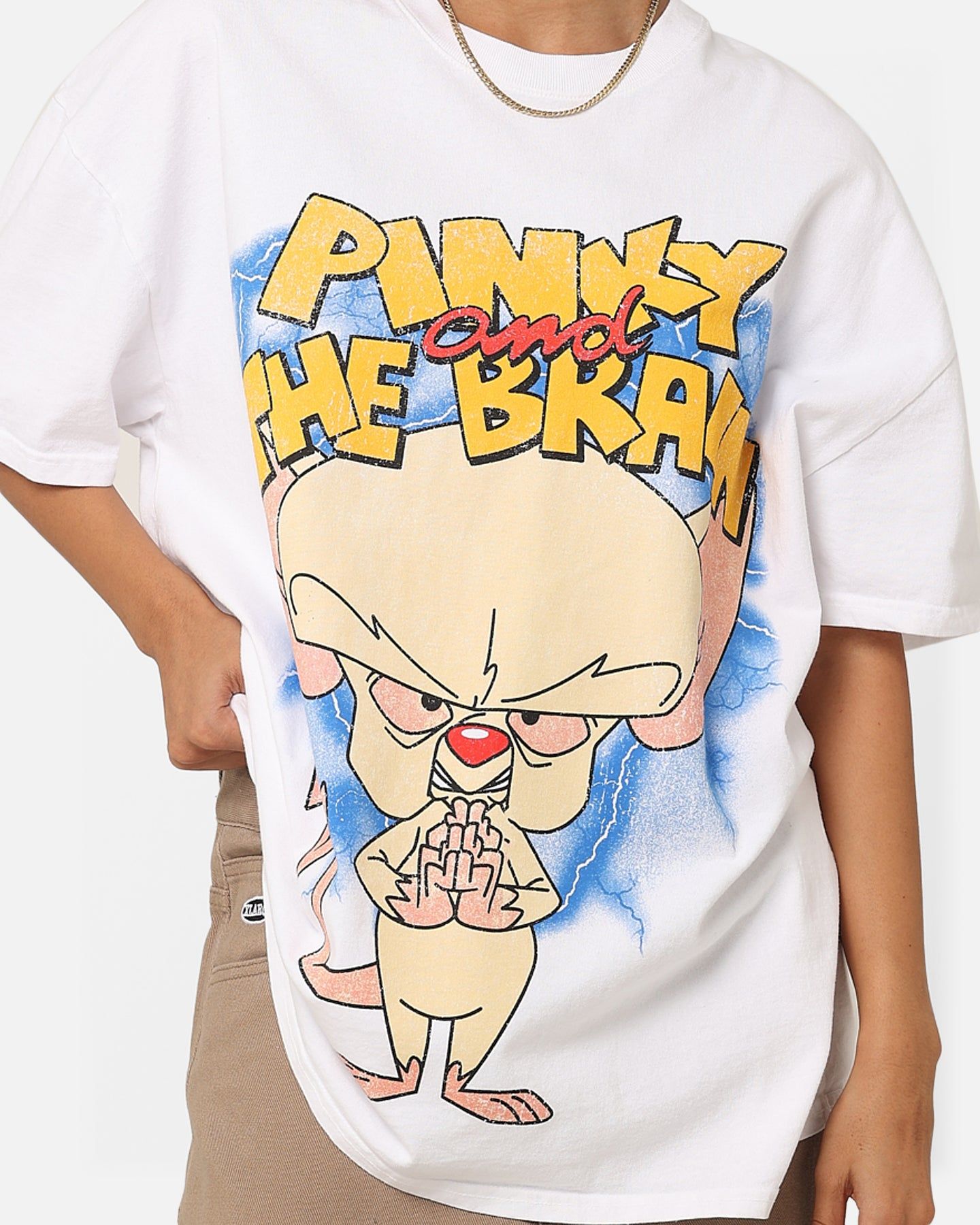 American Thrift X Cartoon Network Pinky & The Brain Heavyweight Vintage T-Shirt White sold by Culture Kings