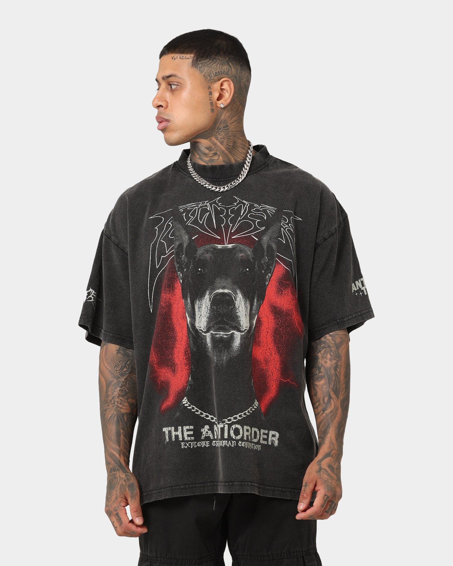 Loiter X The Anti Order Anti Tour Vintage T-Shirt Vintage Wash sold by Culture Kings