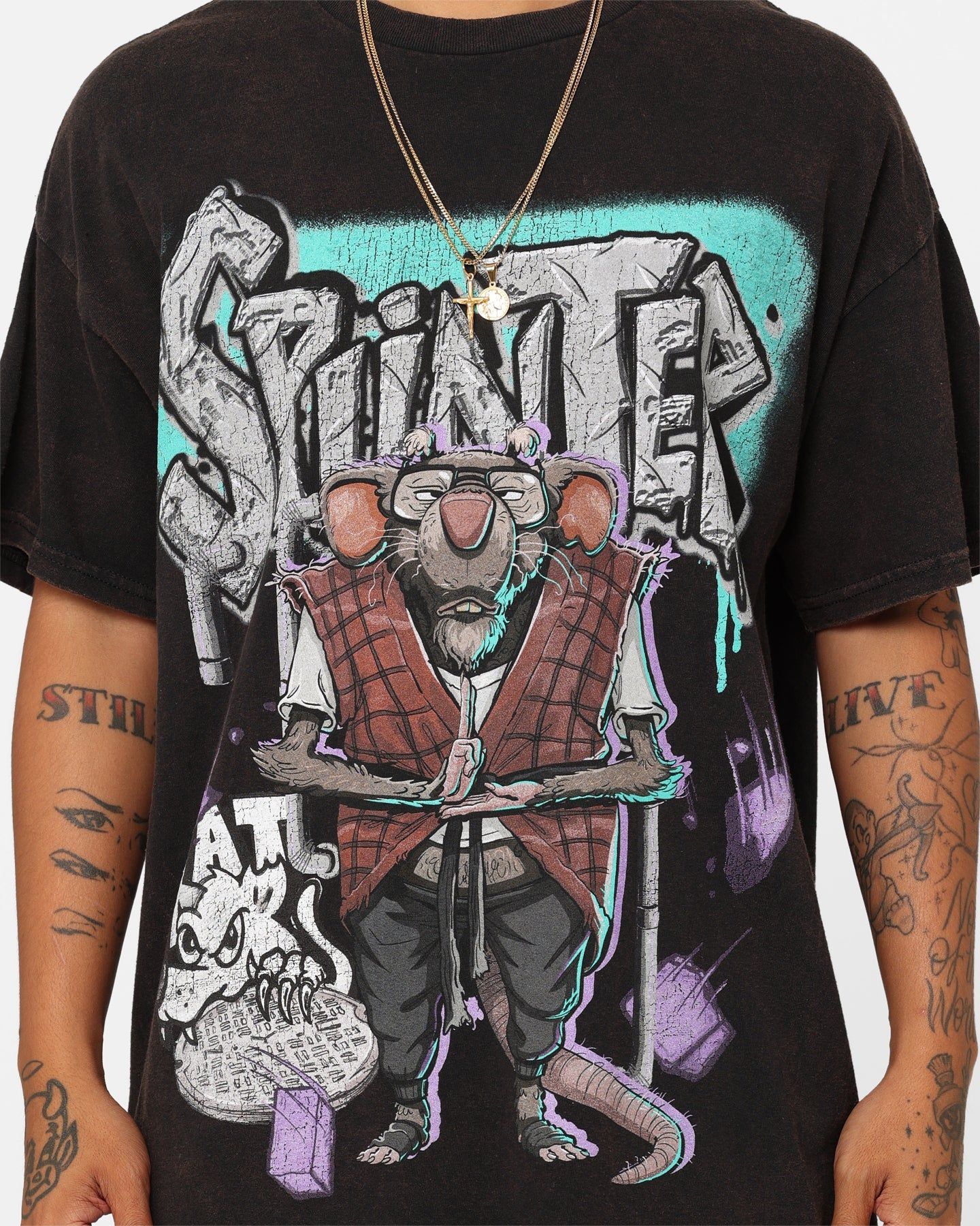 Goat Crew X Teenage Mutant Ninja Turtles Splinter Vintage T-Shirt Black Wash sold by Culture Kings product image thumbnail 3