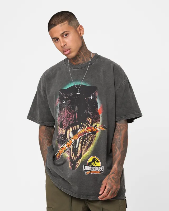 American Thrift X Jurassic Park 30th Anniversary Heavyweight Vintage T-Shirt Black Wash sold by Culture Kings
