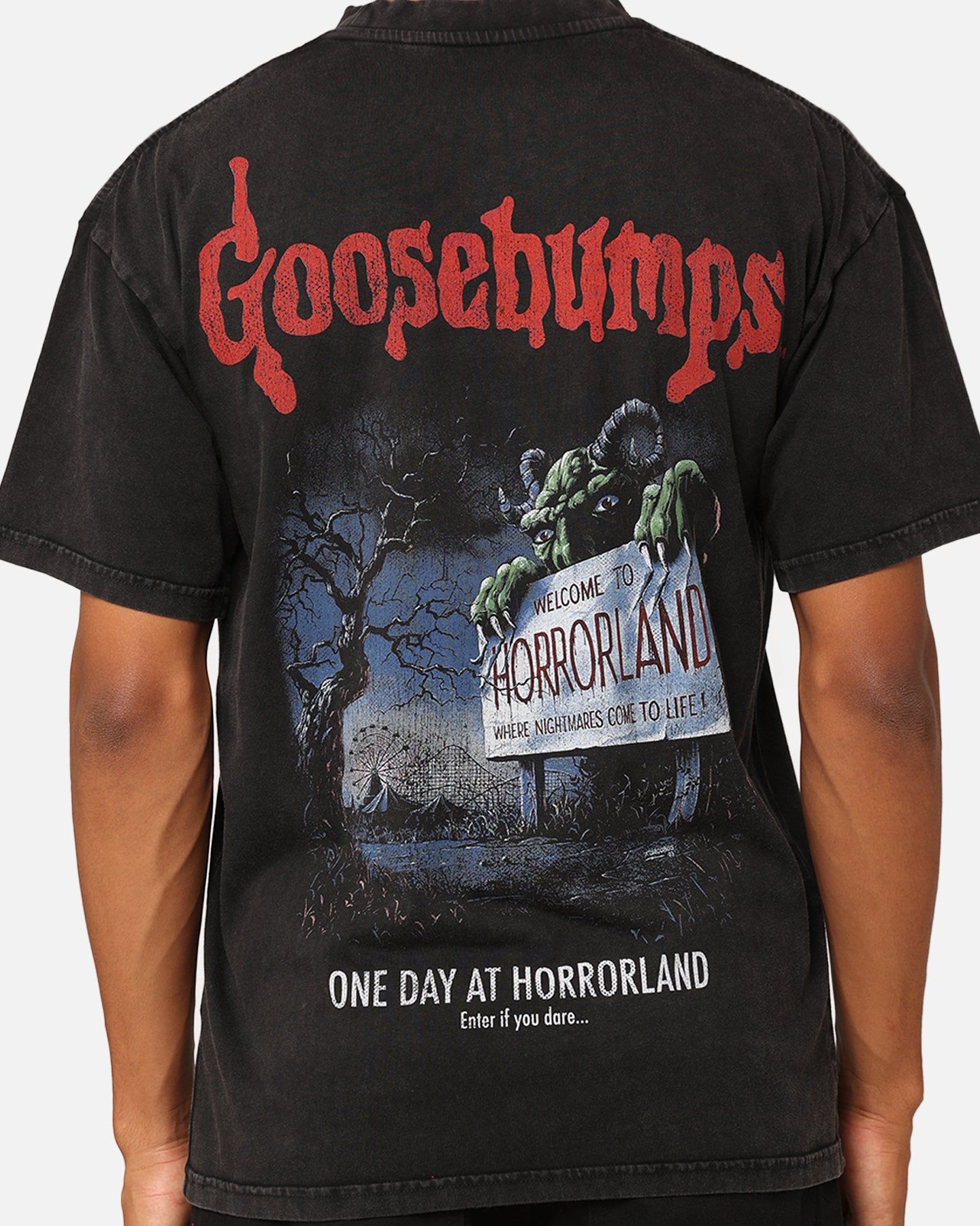 American Thrift X Goosebumps Horror Land Vintage T-Shirt Black Wash sold by Culture Kings product image thumbnail 5