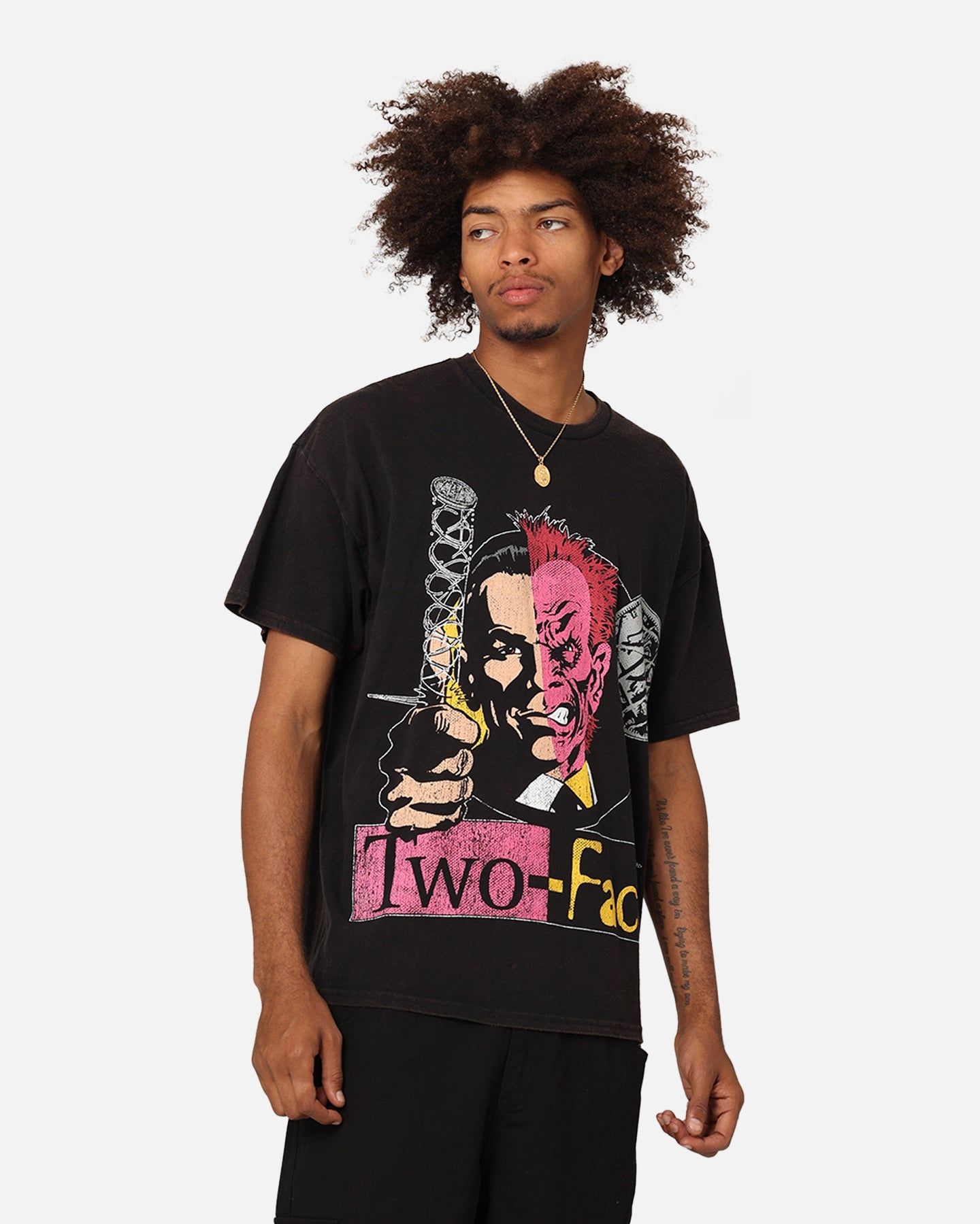 Goat Crew X DC Batman Two Face Vintage T-Shirt Black Wash sold by Culture Kings