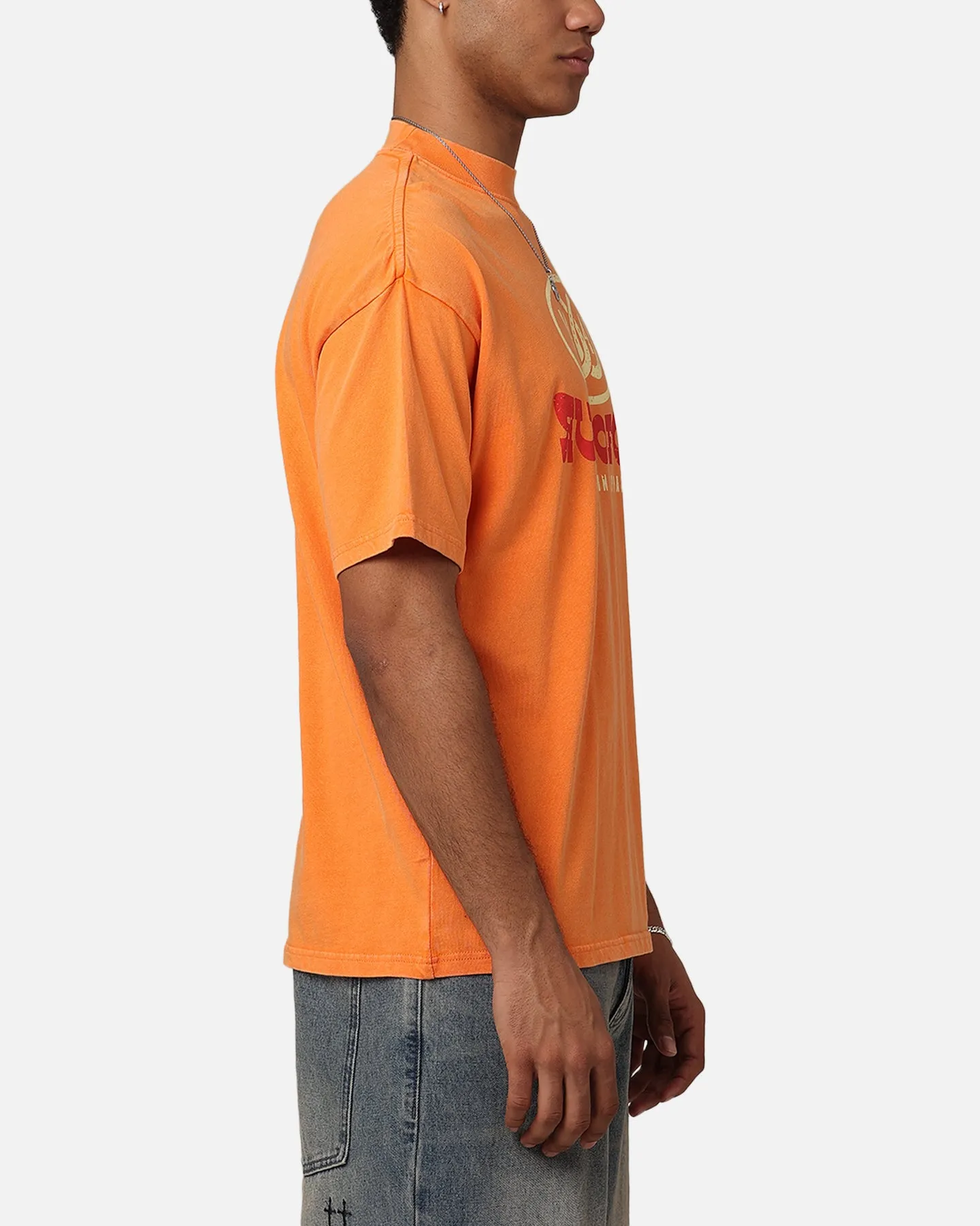 404 Horseshoe Horizon T-Shirt Vintage Orange sold by Culture Kings product image thumbnail 4