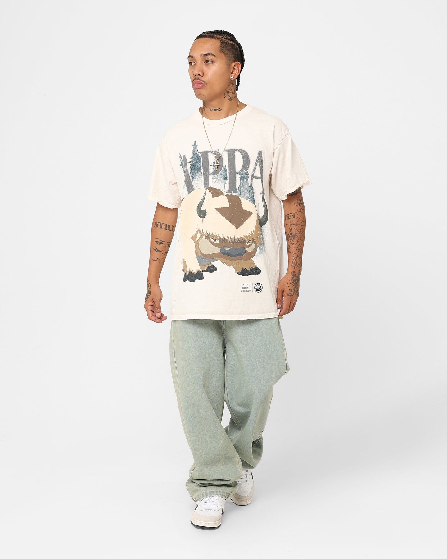 Goat Crew X Avatar: The Last Airbender Appa Vintage T-Shirt Off White sold by Culture Kings product image thumbnail 3