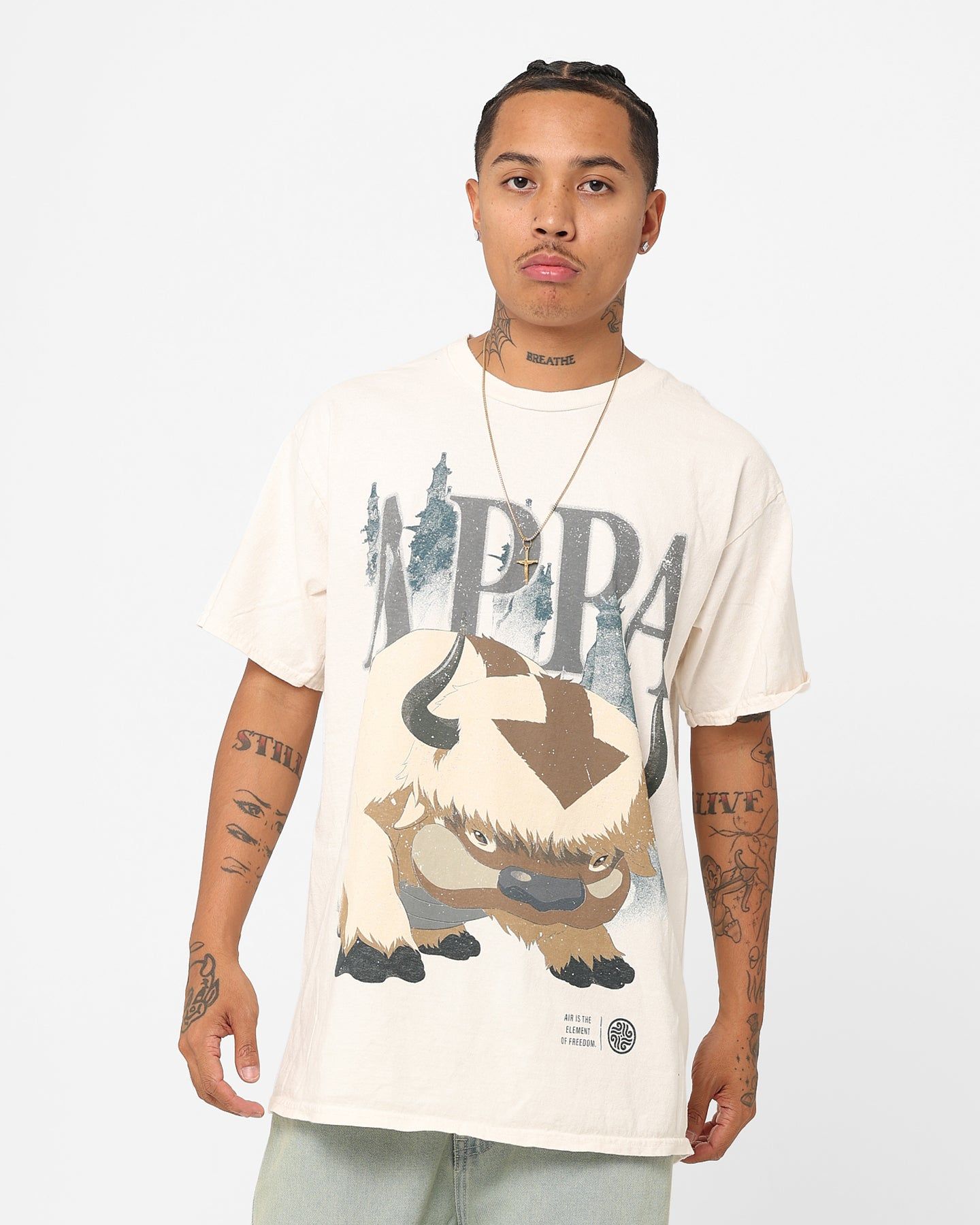 Goat Crew X Avatar: The Last Airbender Appa Vintage T-Shirt Off White sold by Culture Kings