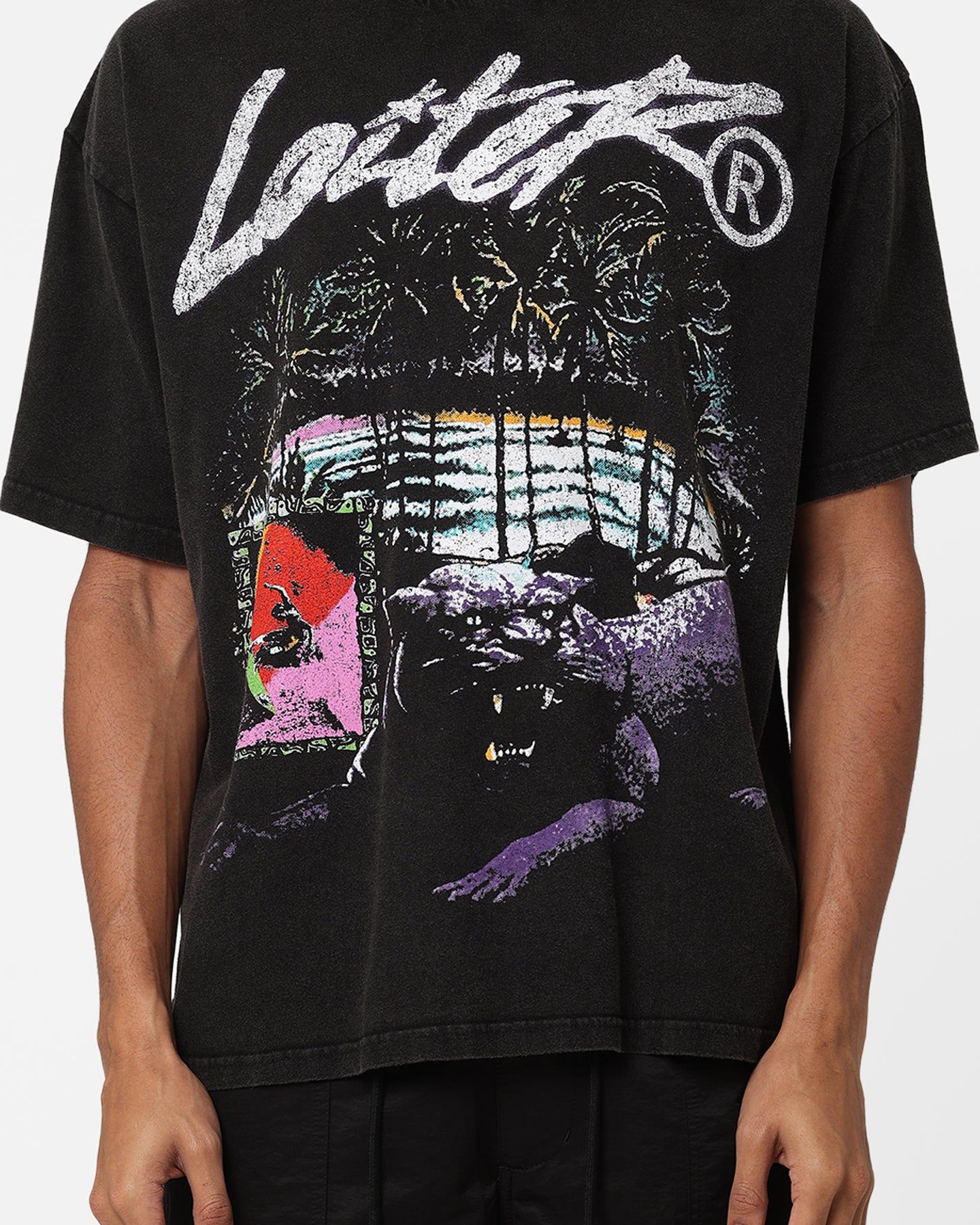 Loiter Jungle Vintage T-Shirt Black Wash sold by Culture Kings product image thumbnail 3